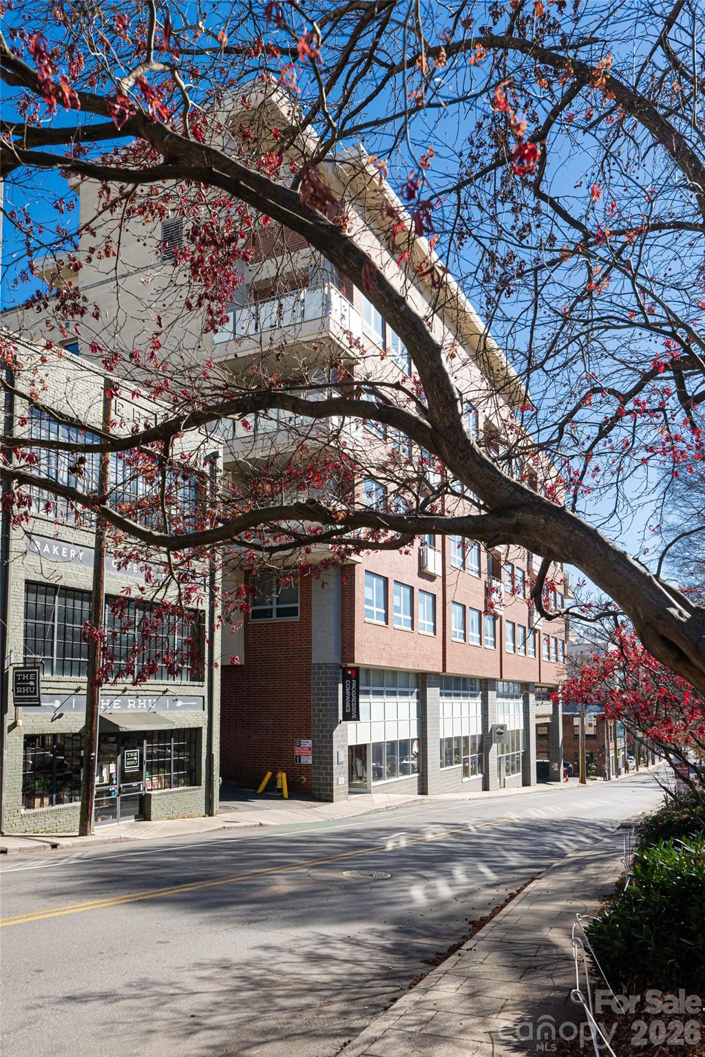 12 S Lexington Avenue #402 — Asheville