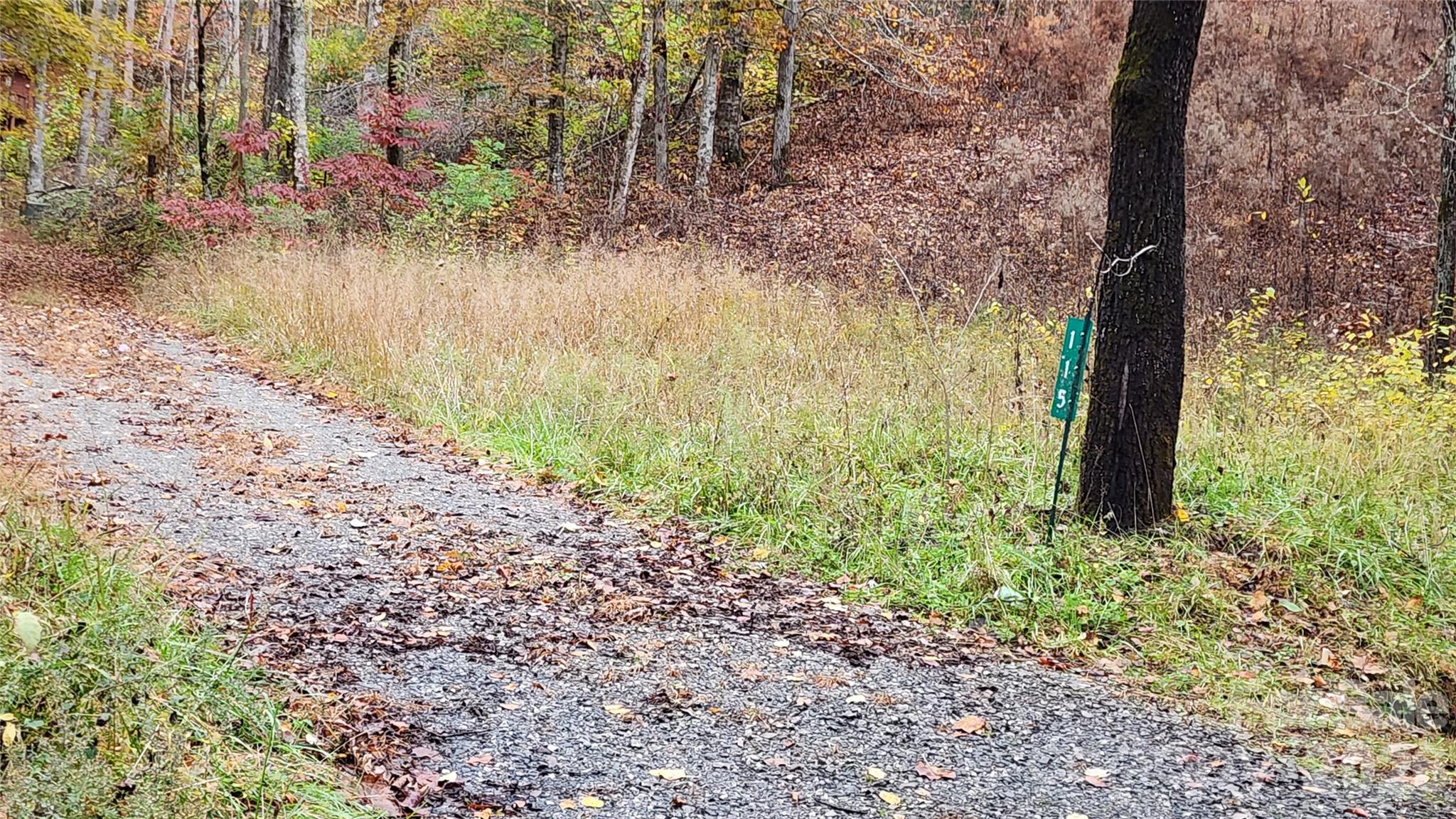 115 Old Camptown Drive — Hayesville