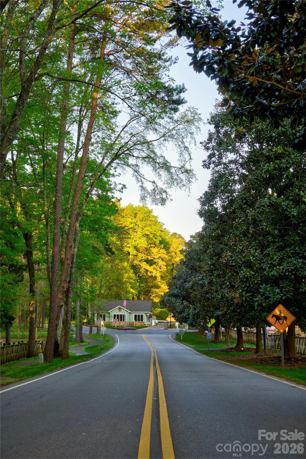 8 Hickory Ridge Court — Lake Wylie