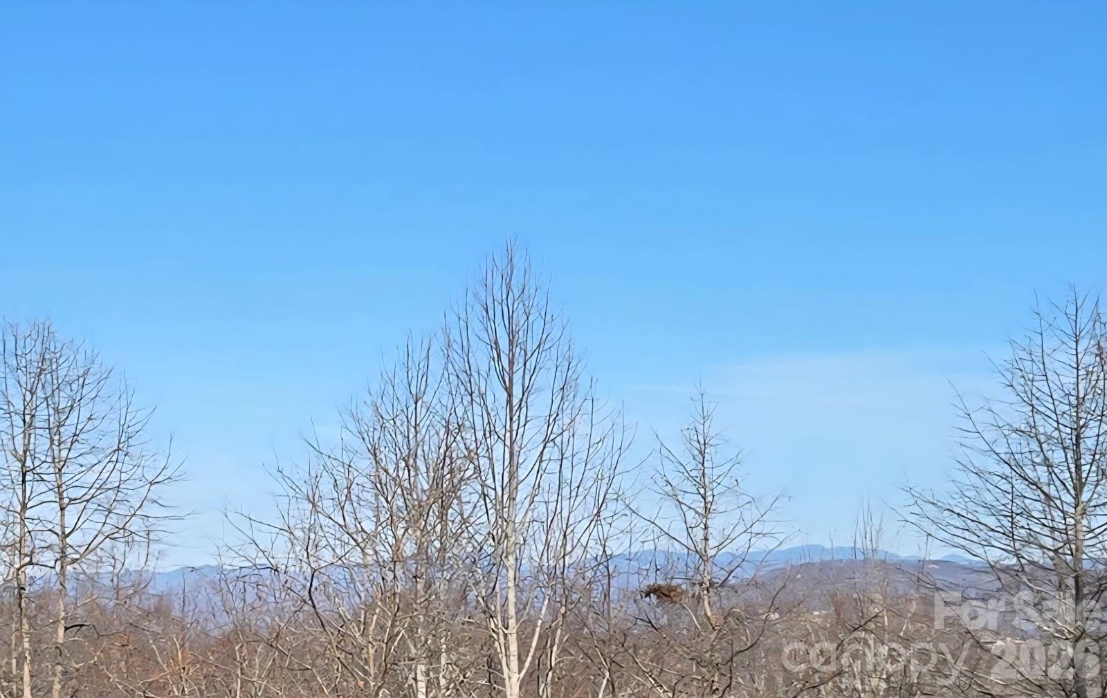 120 Breckenridge Court — Hendersonville