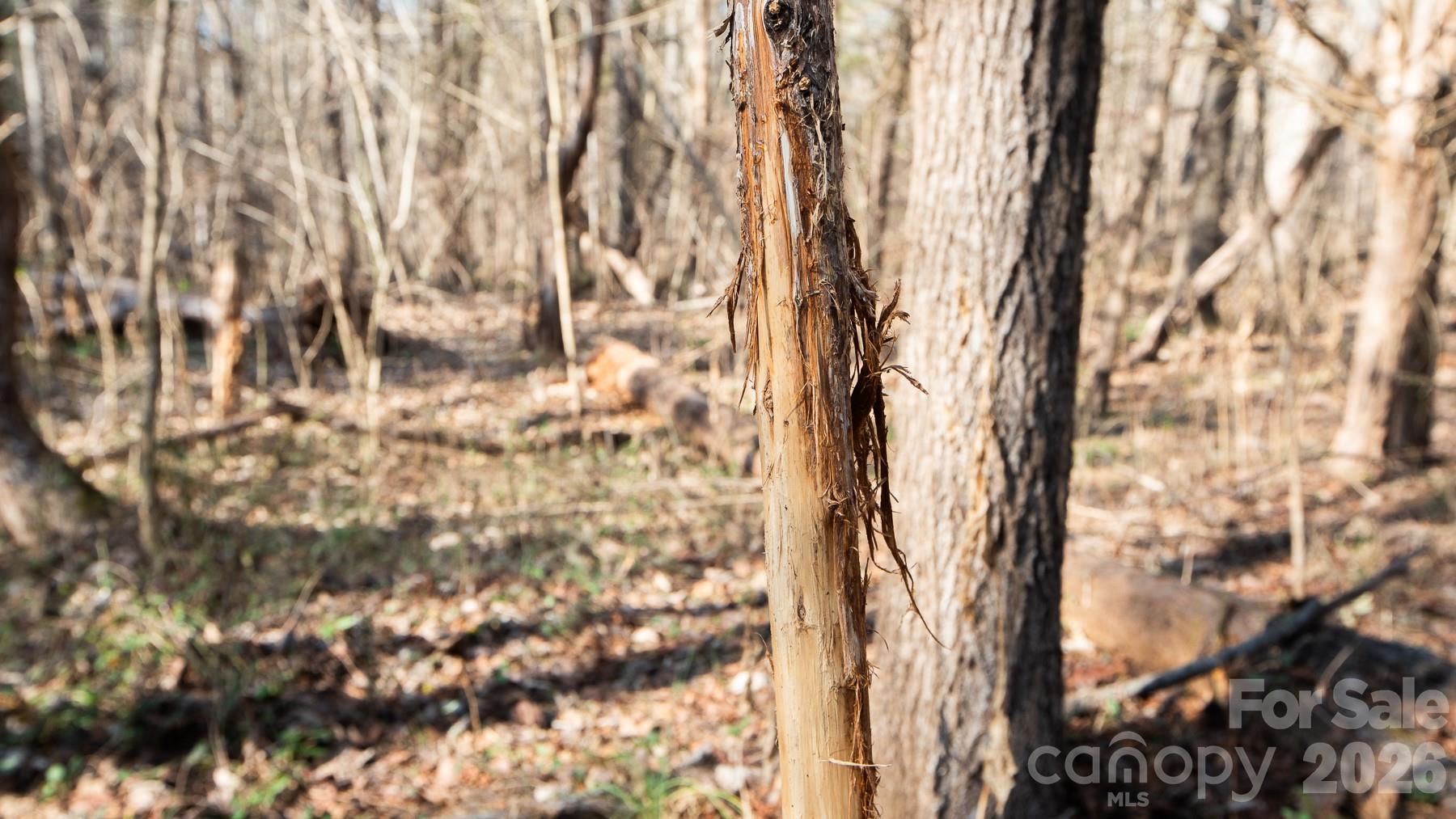 530 Upright Road — Mt Ulla