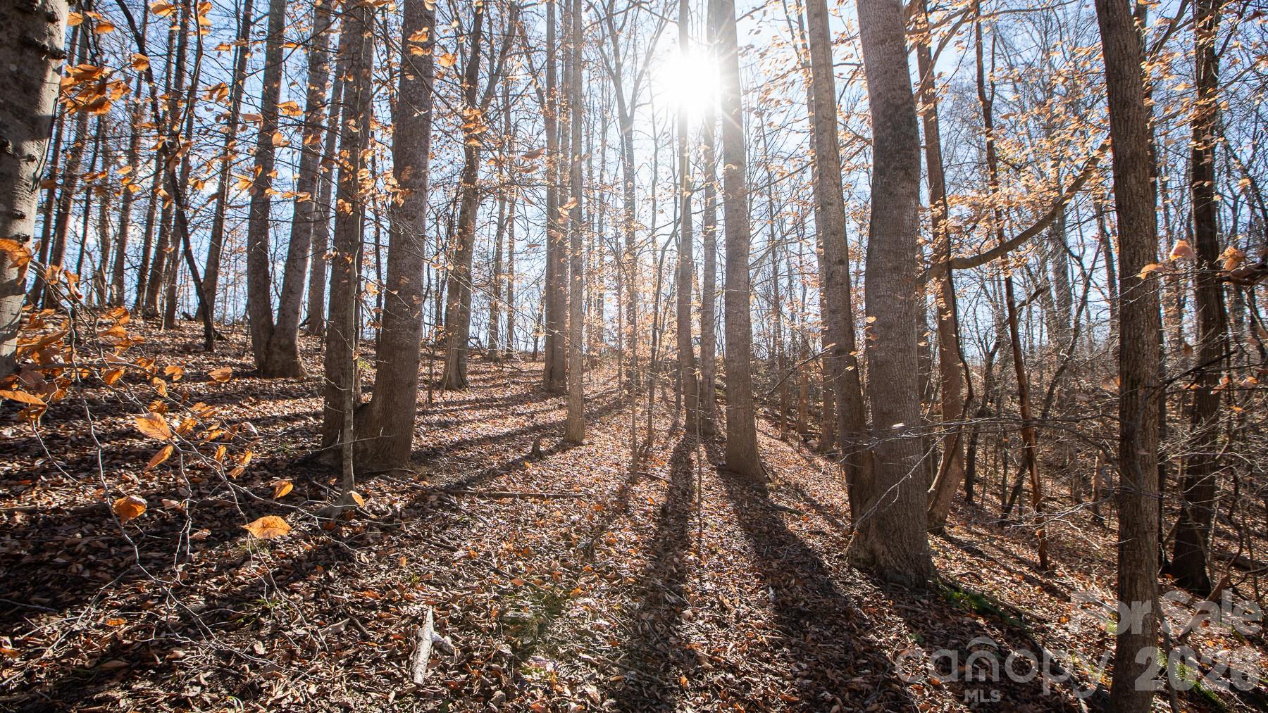 530 Upright Road — Mt Ulla