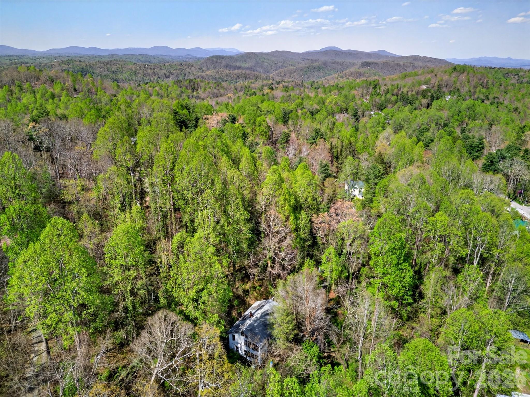 105 Poplar Street — Saluda