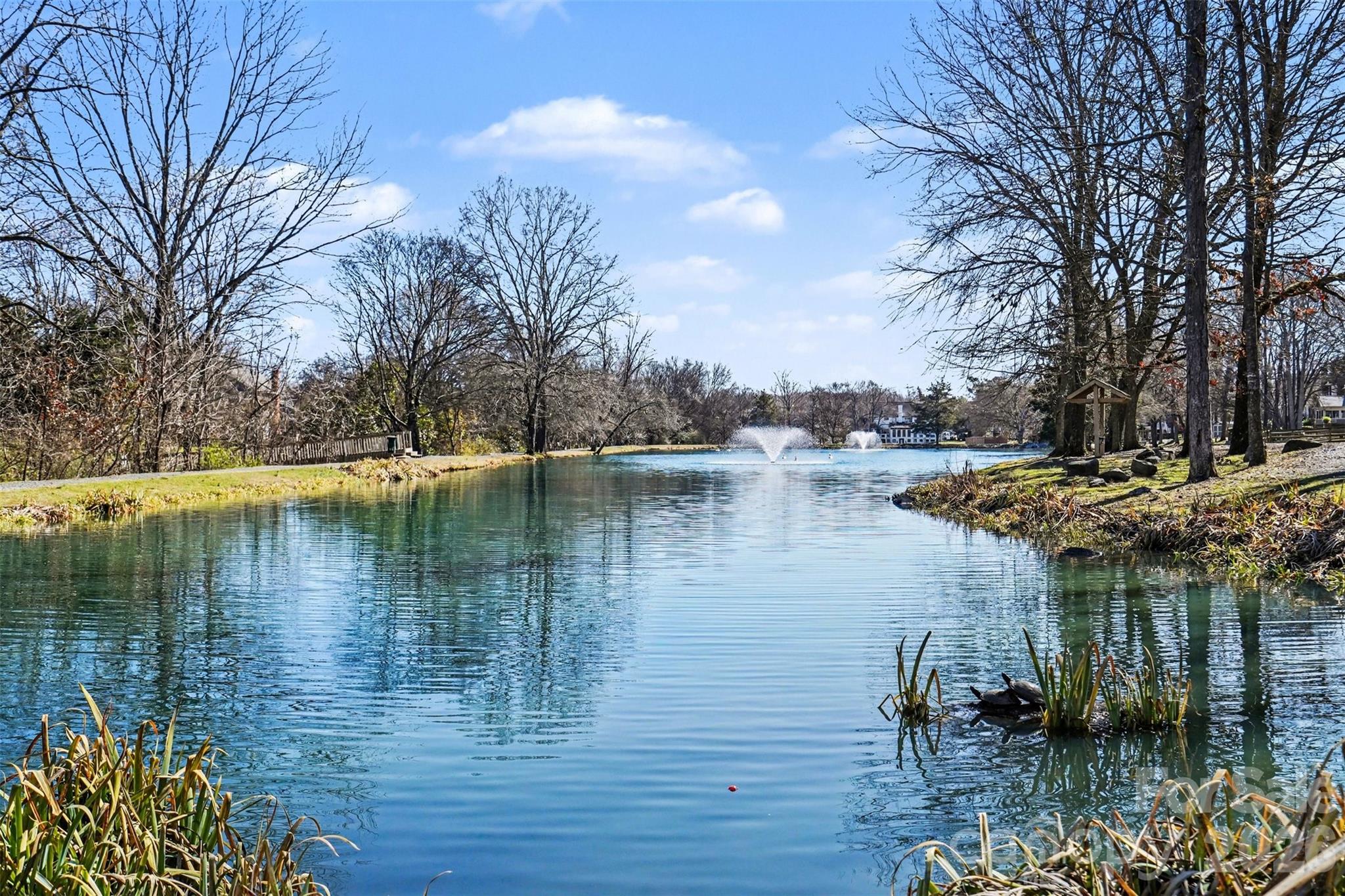 14115 Canvasback Drive — Charlotte