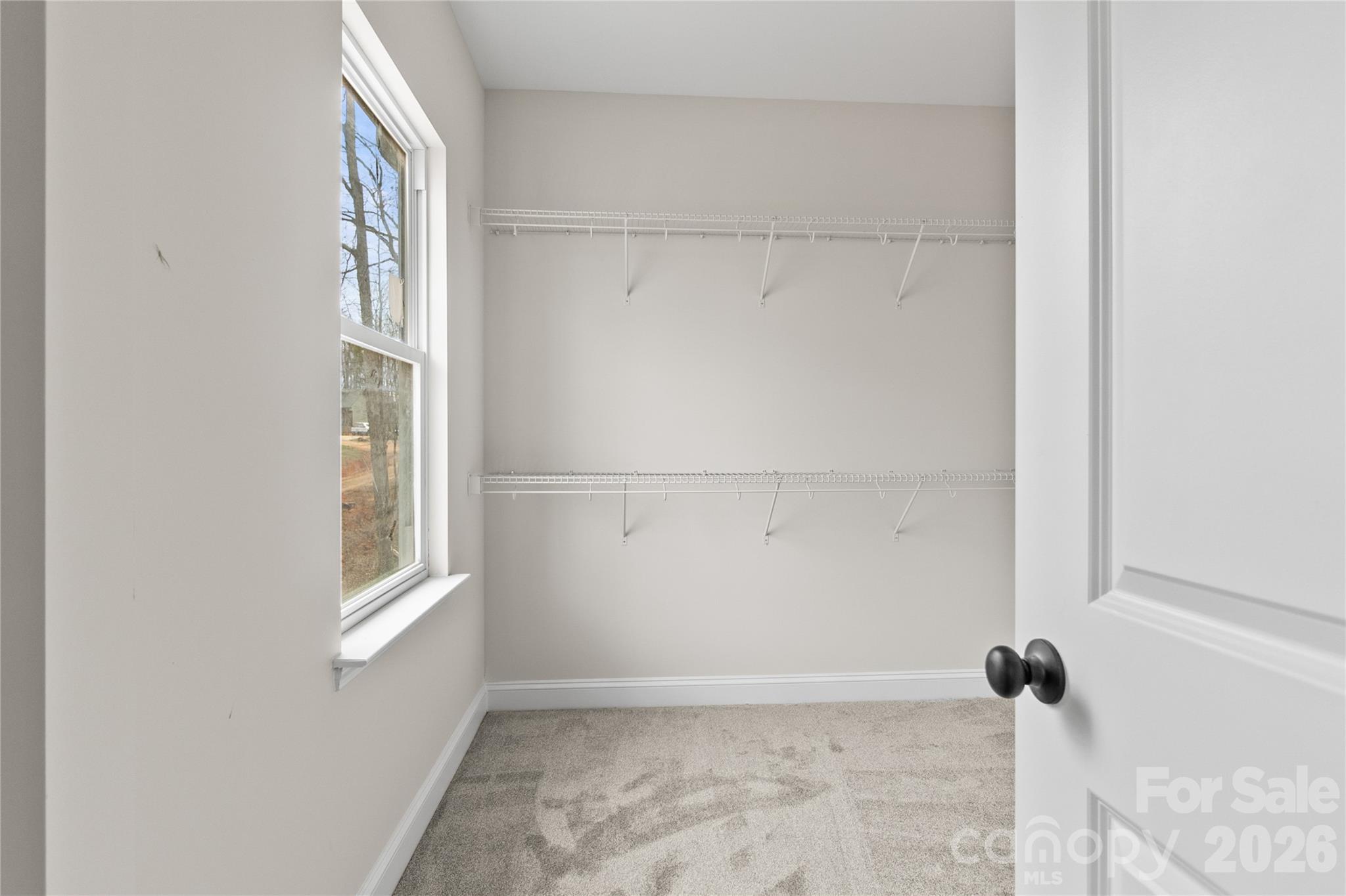 3692 Shannon Loop — Denver