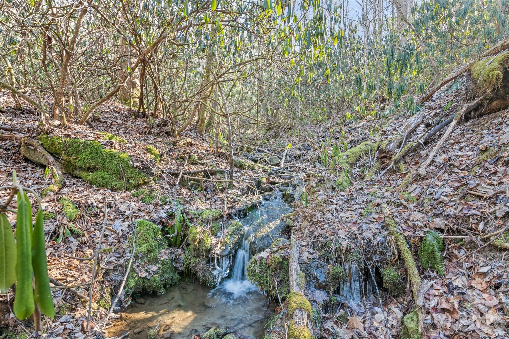 831 Forest Run Road — Whittier