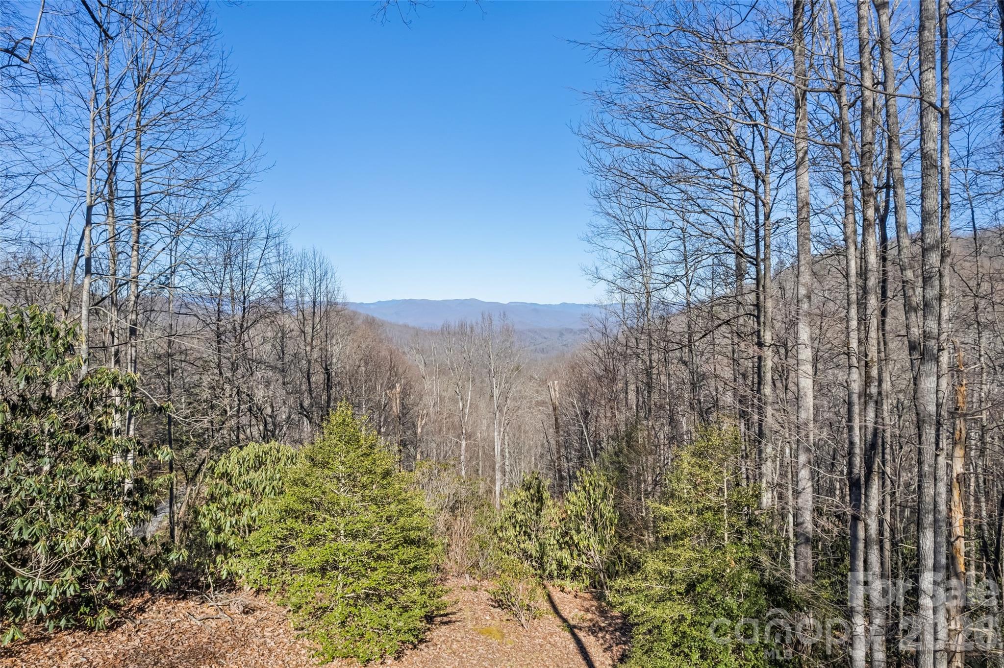 831 Forest Run Road — Whittier