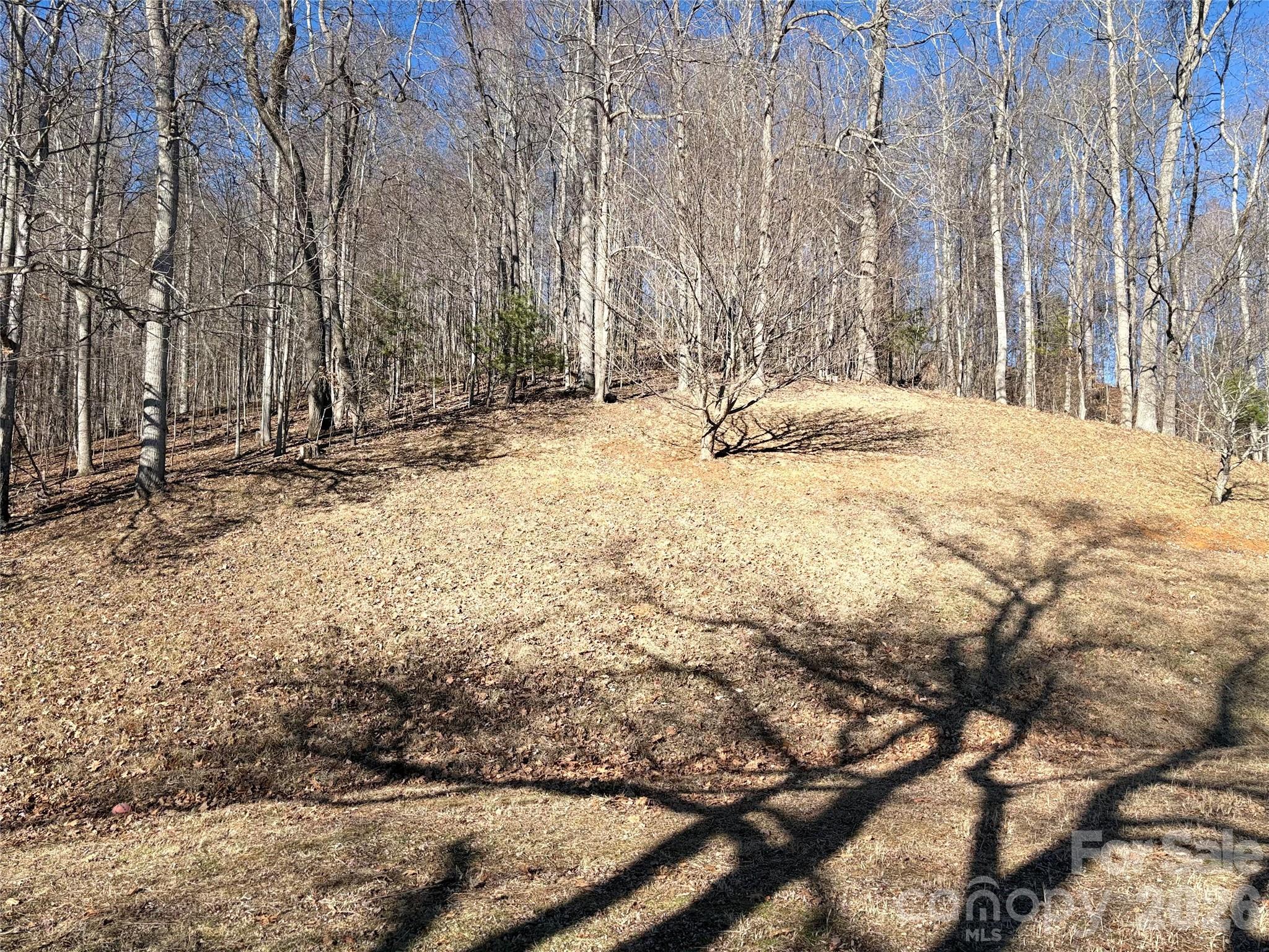 219 Rocking Horse Trail — Burnsville