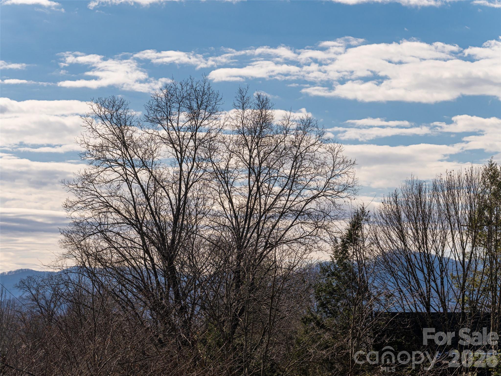 89 Vance Crescent Extension — Asheville