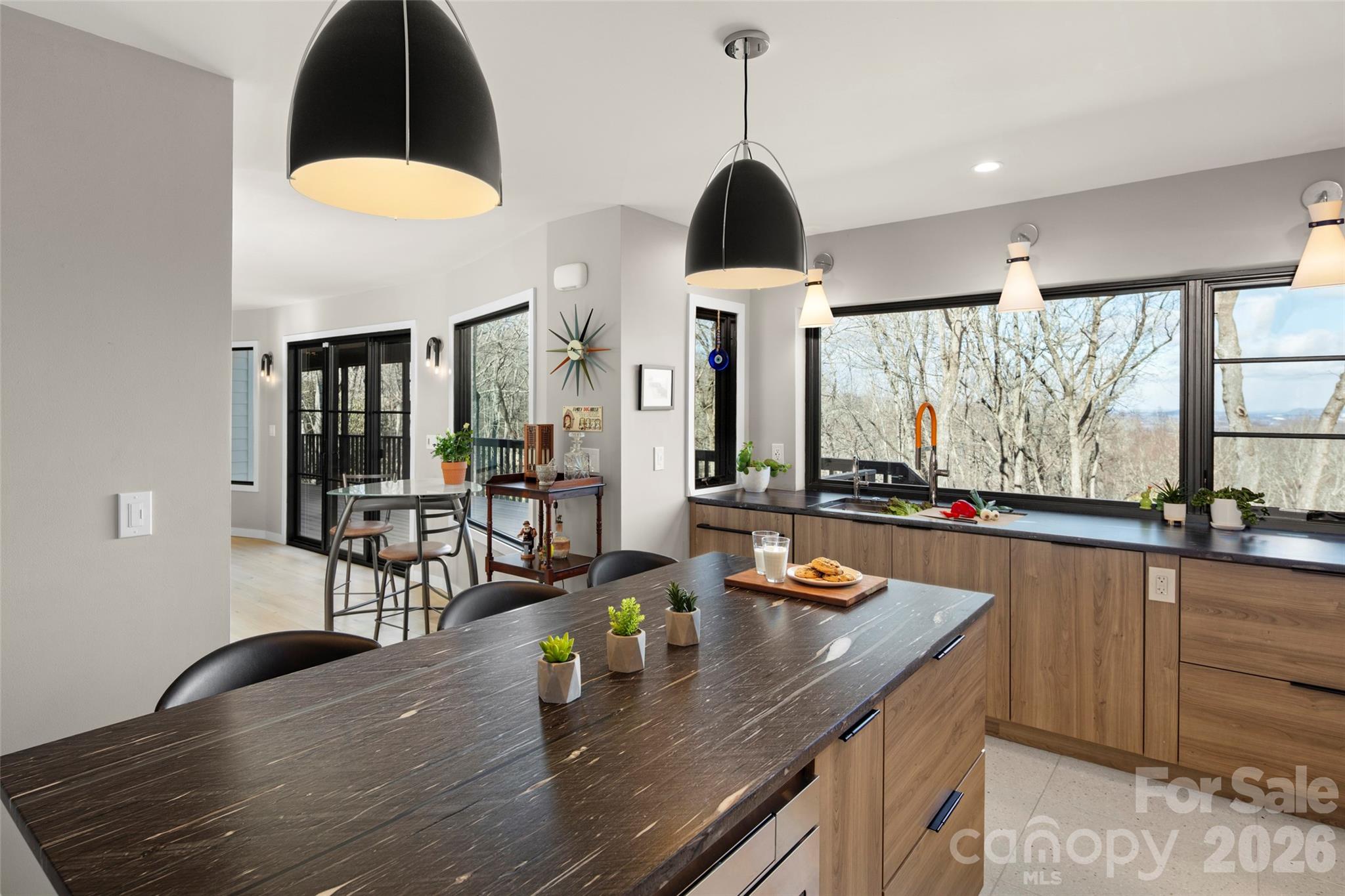 1202 Davis Mountain Road — Hendersonville