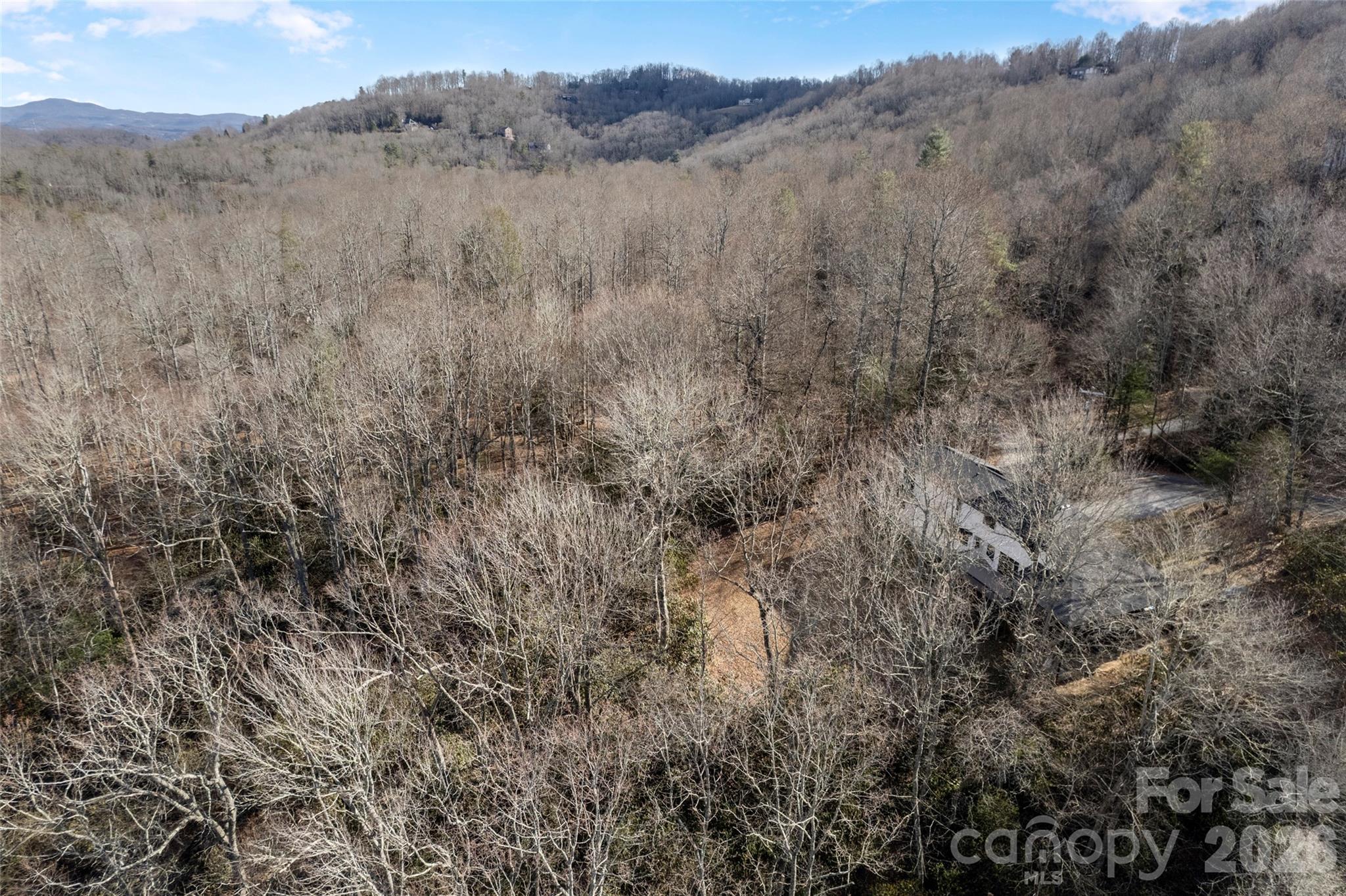 1202 Davis Mountain Road — Hendersonville