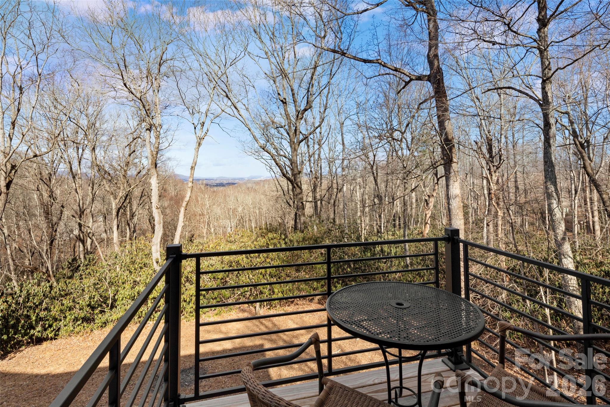 1202 Davis Mountain Road — Hendersonville
