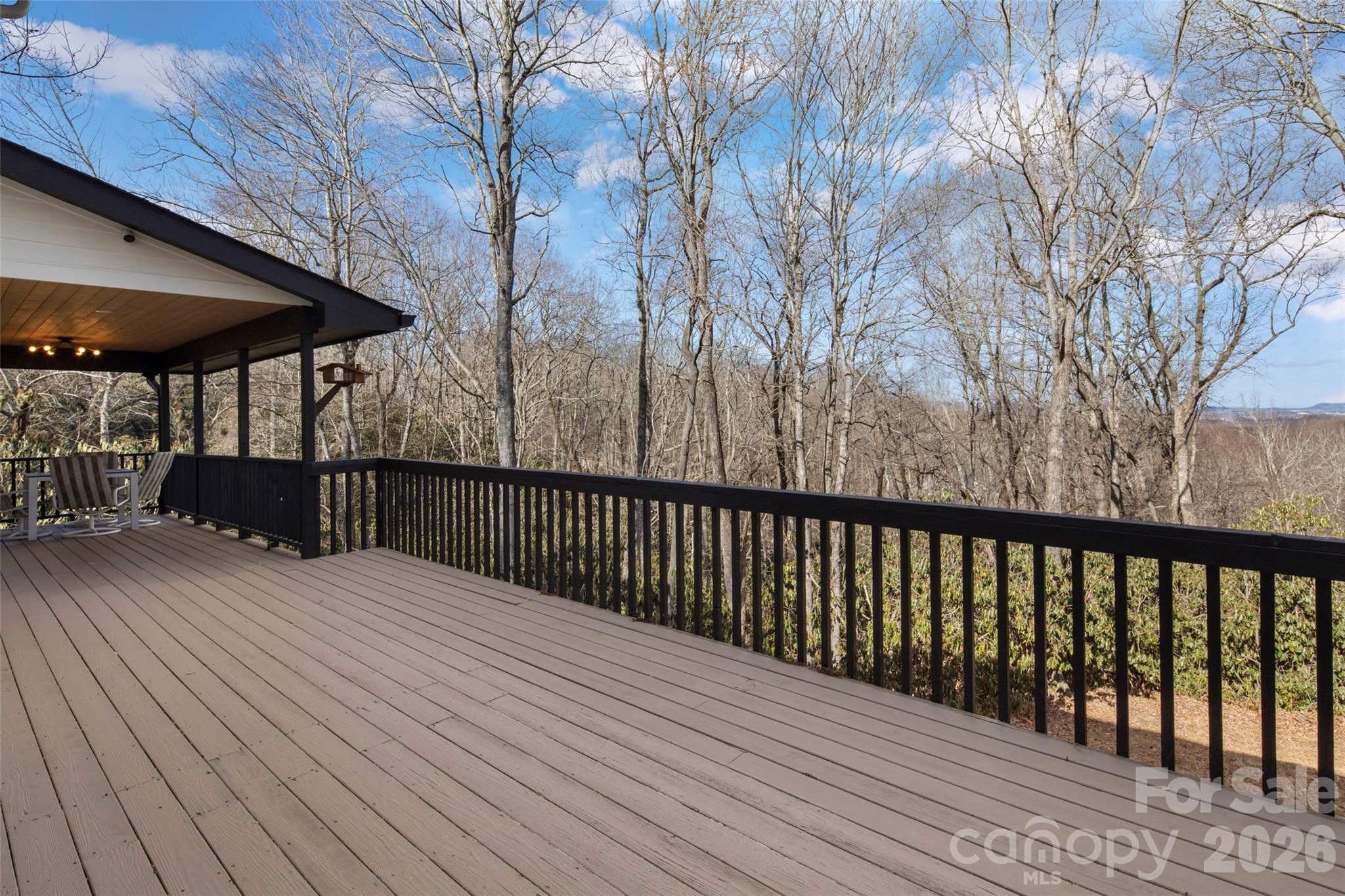 1202 Davis Mountain Road — Hendersonville