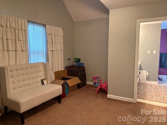 1263 Indigo Run Lane — Gastonia
