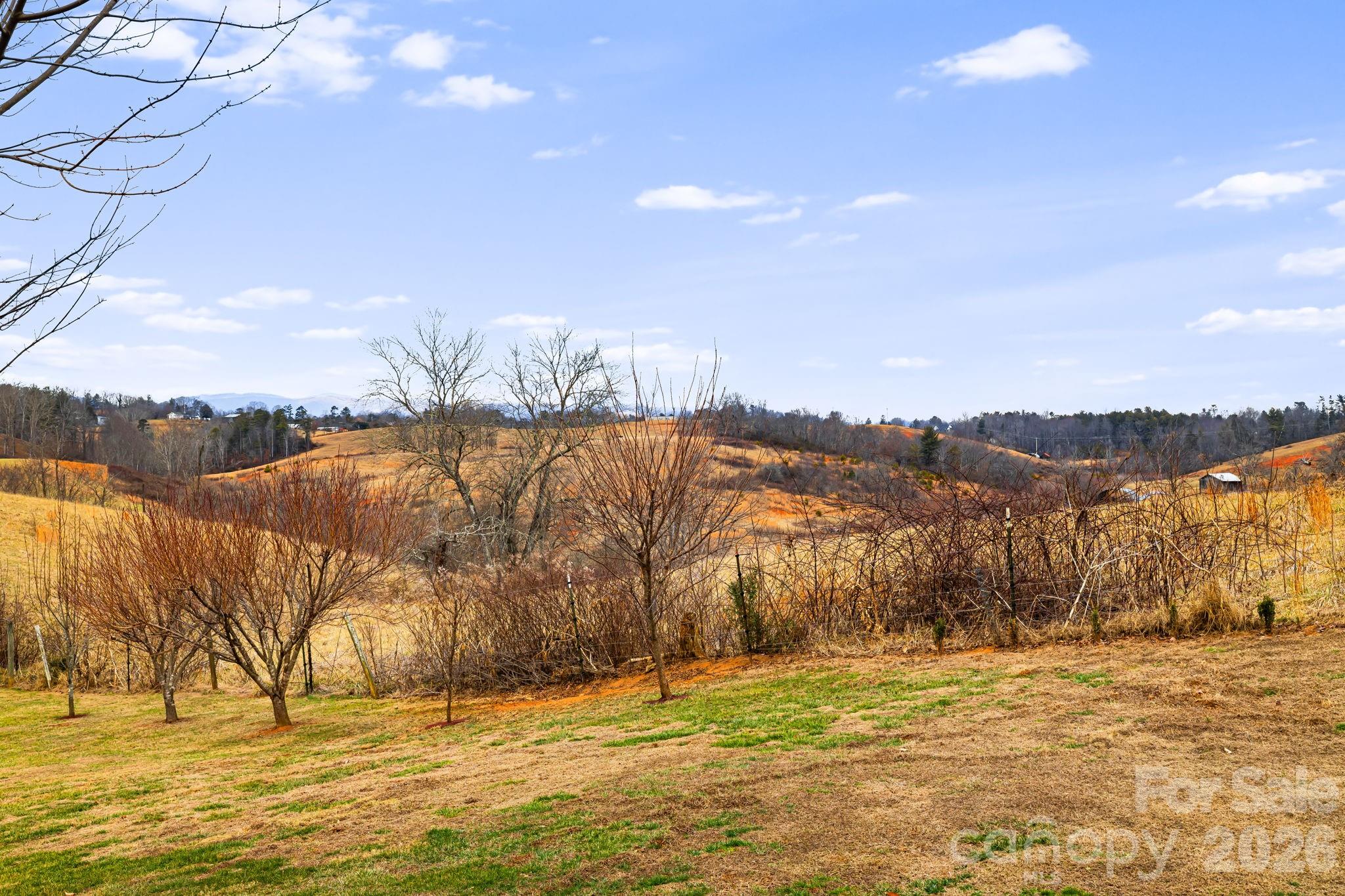 79 Bear Creek Hills Drive — Leicester
