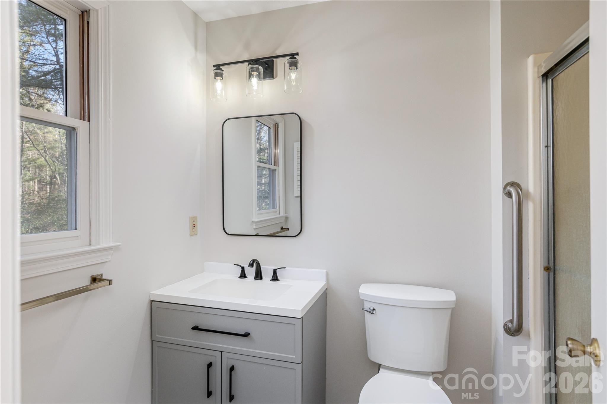 55 English Ivy Lane — Zirconia