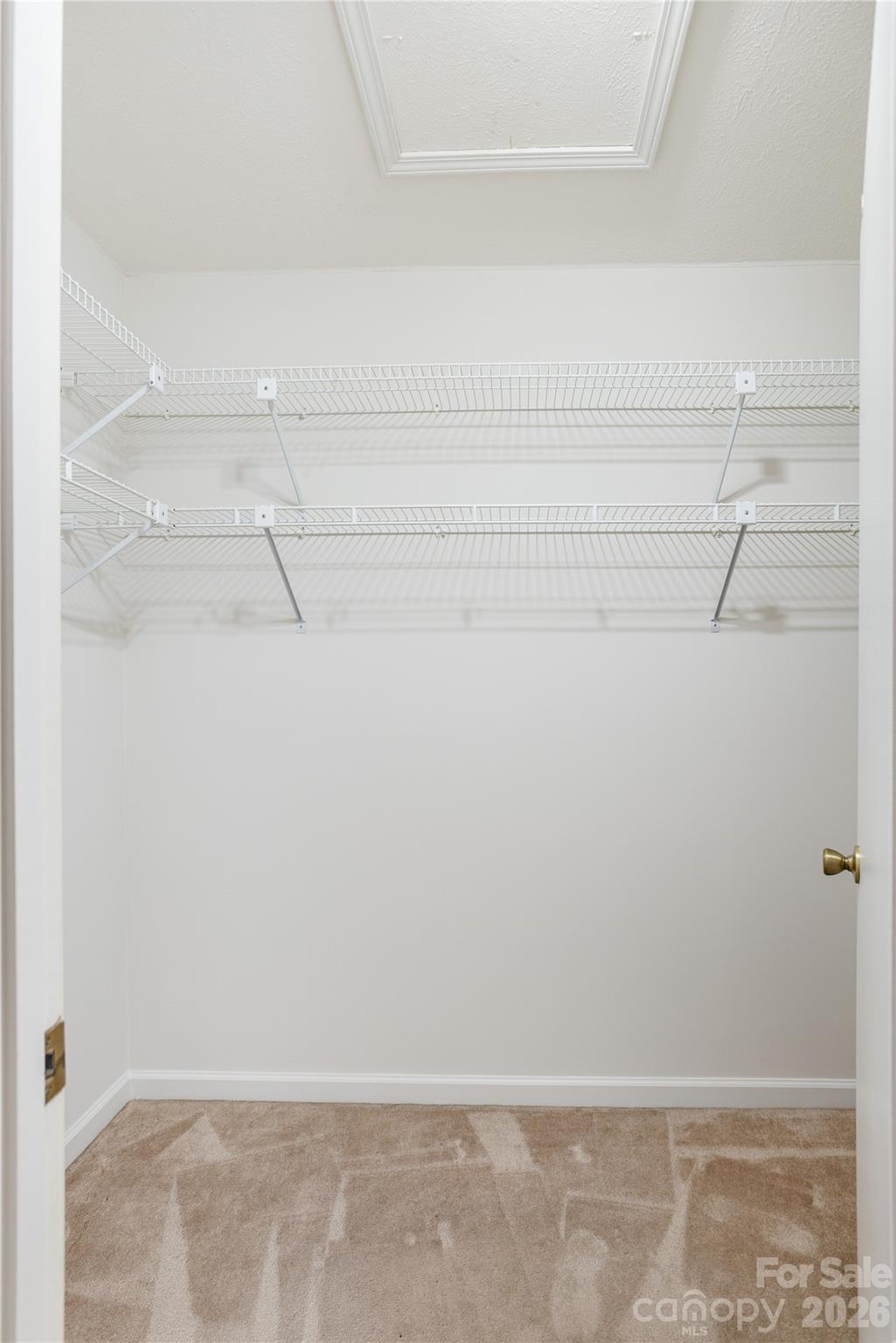 55 English Ivy Lane — Zirconia