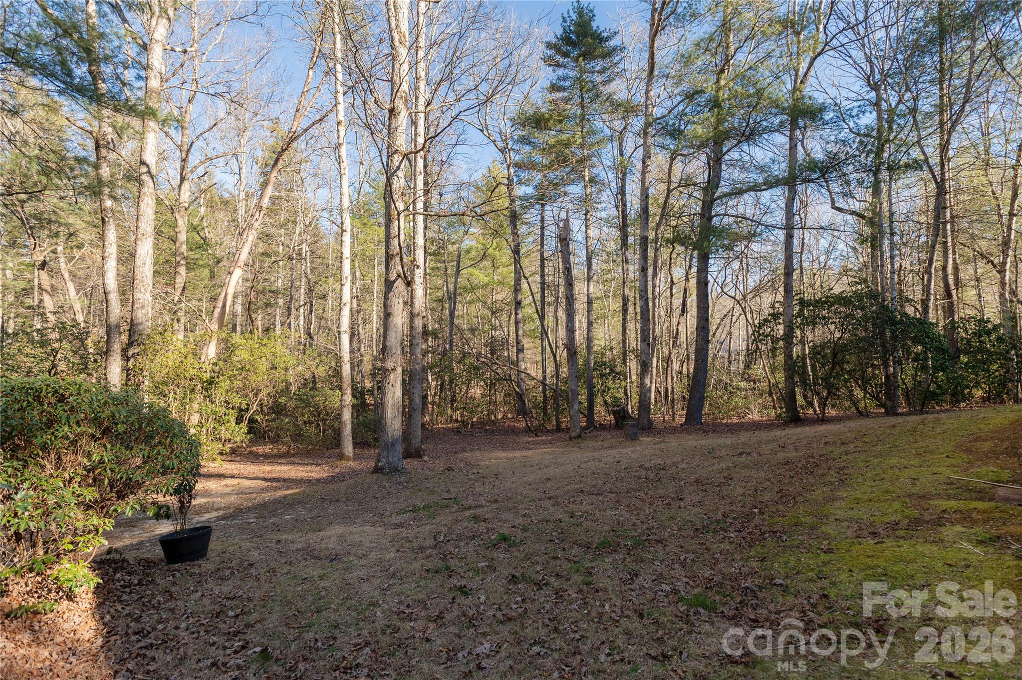 55 English Ivy Lane — Zirconia
