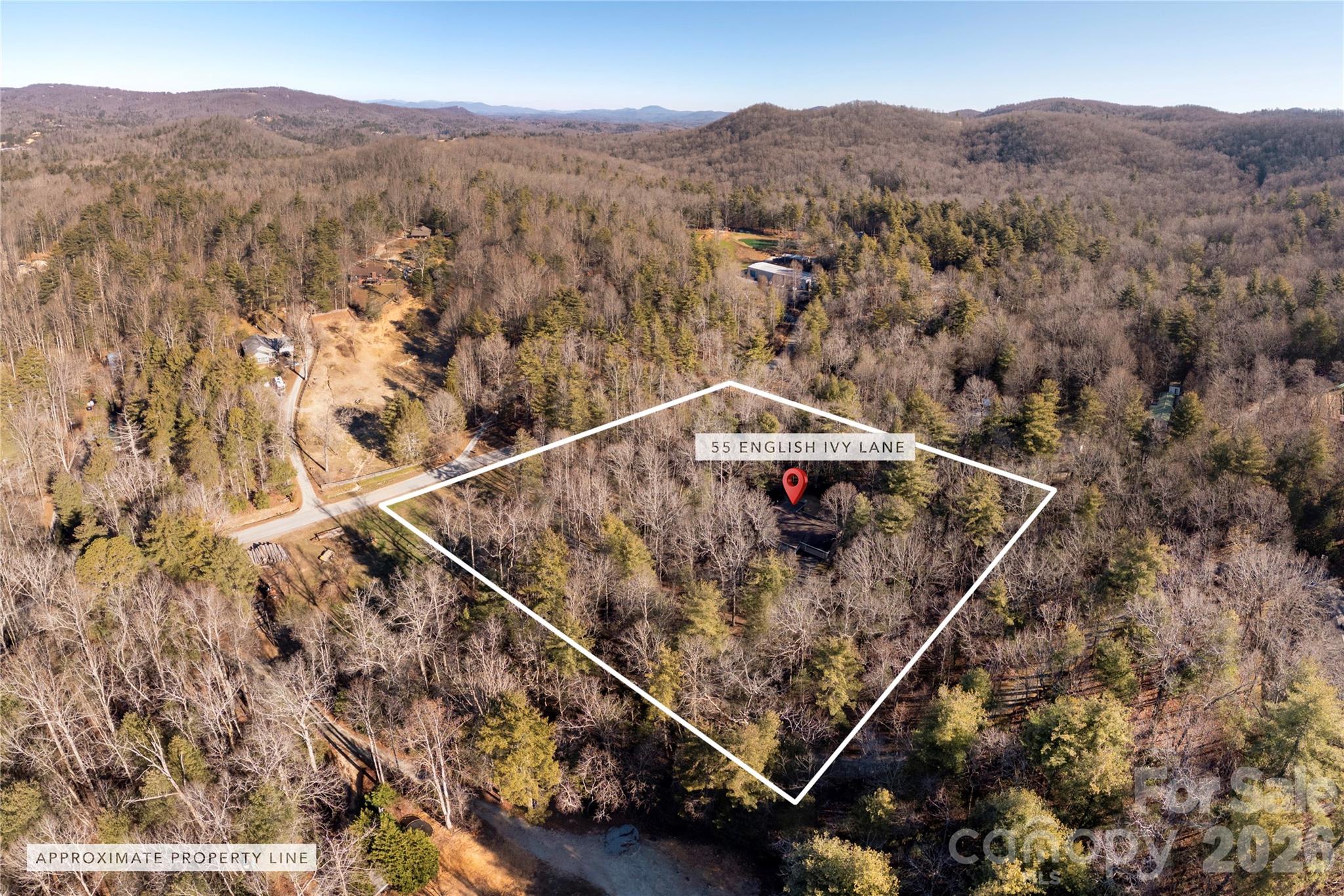 55 English Ivy Lane — Zirconia