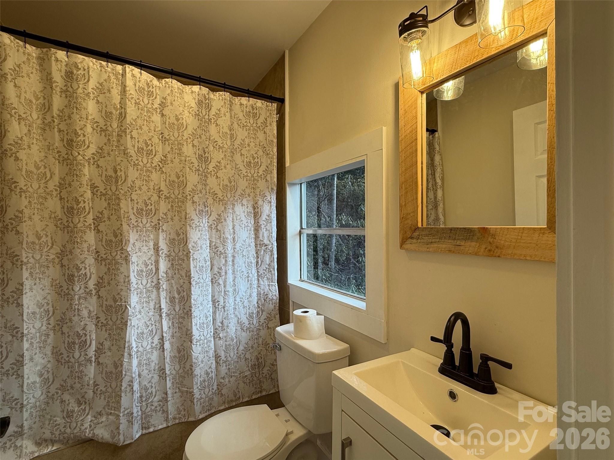 54 Big Bear Drive — Pisgah Forest