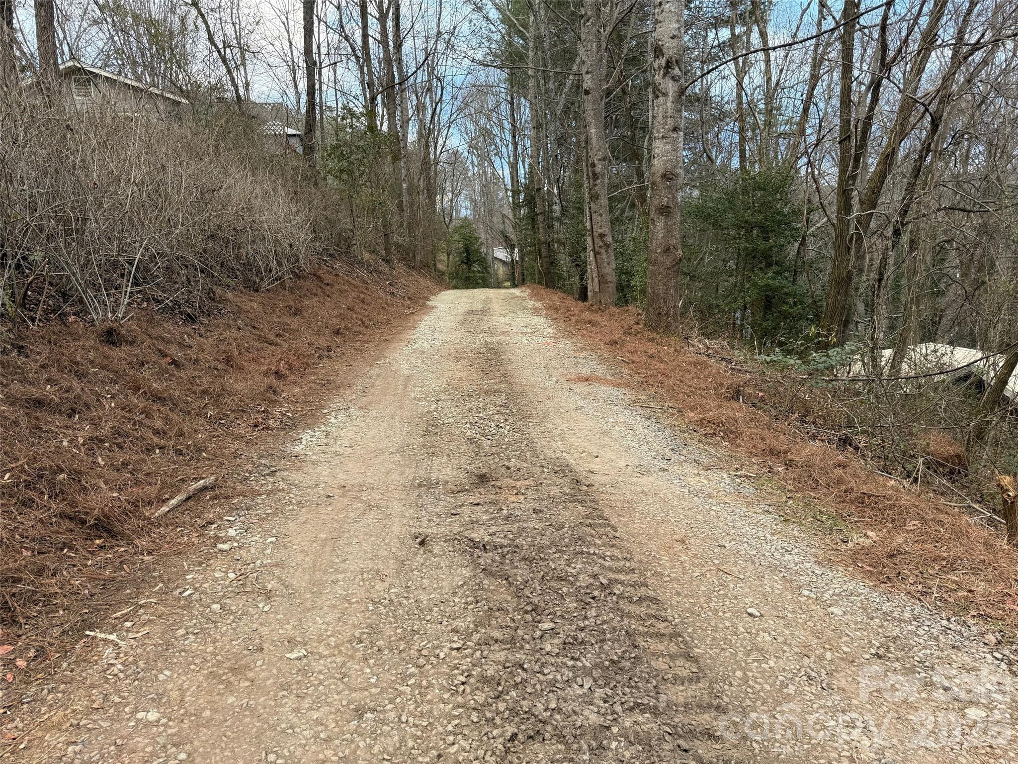 54 Big Bear Drive — Pisgah Forest