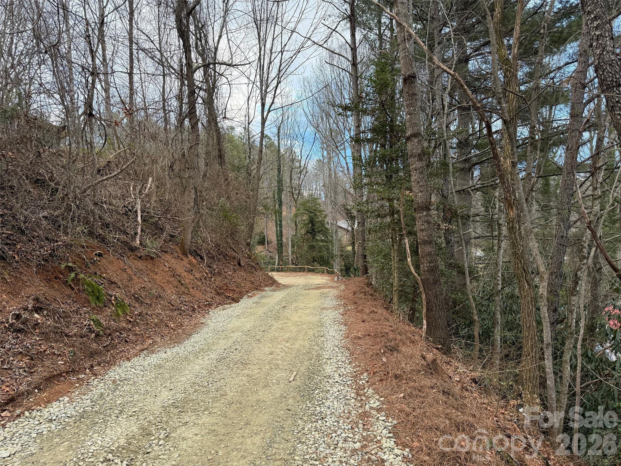 54 Big Bear Drive — Pisgah Forest
