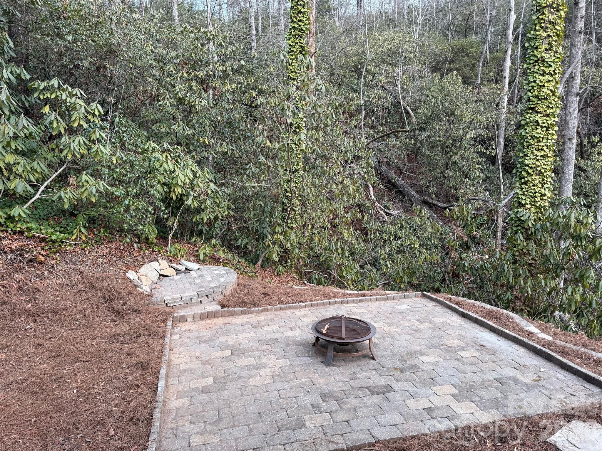 54 Big Bear Drive — Pisgah Forest