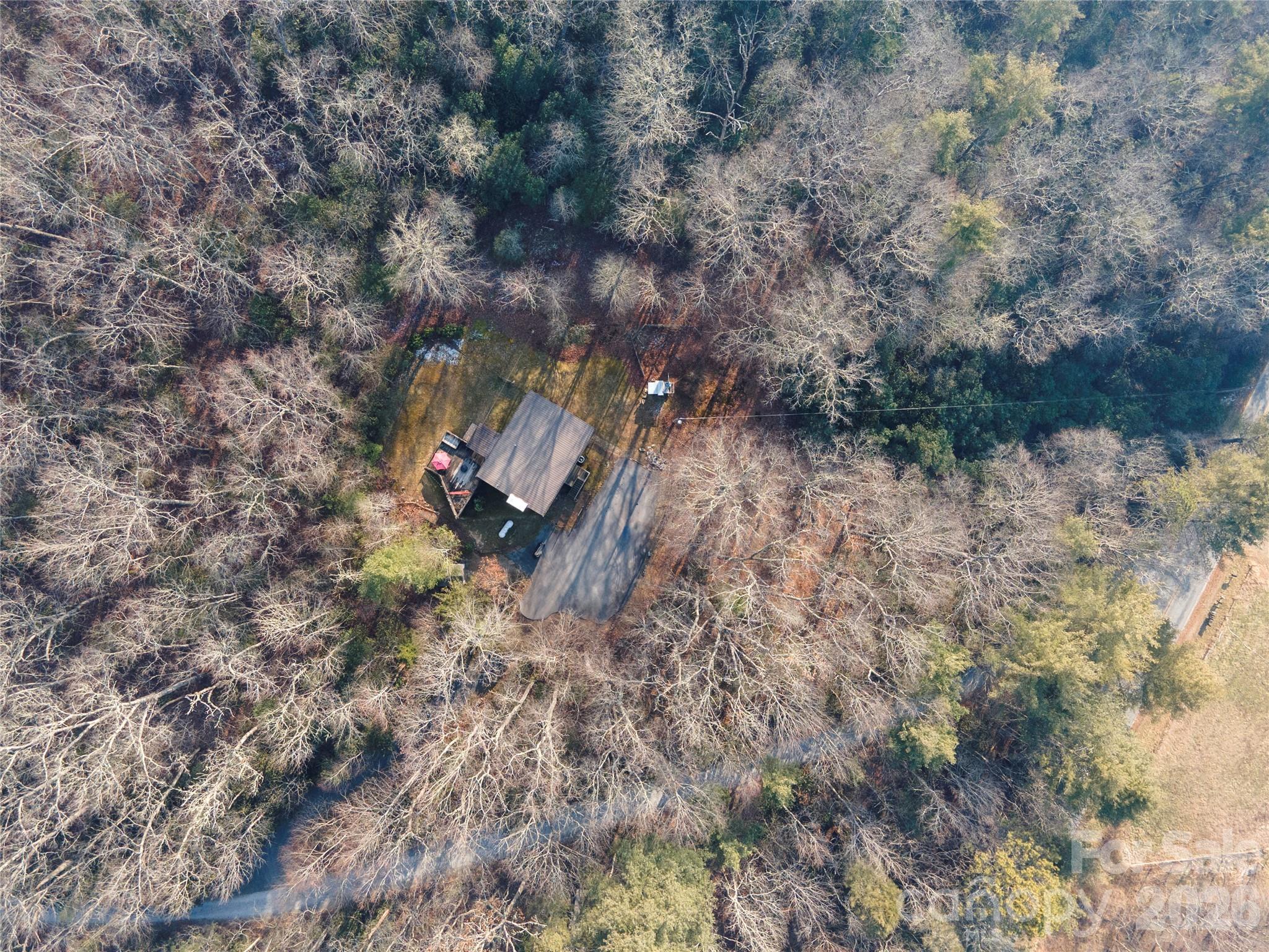 84 Forest Trail — Balsam Grove