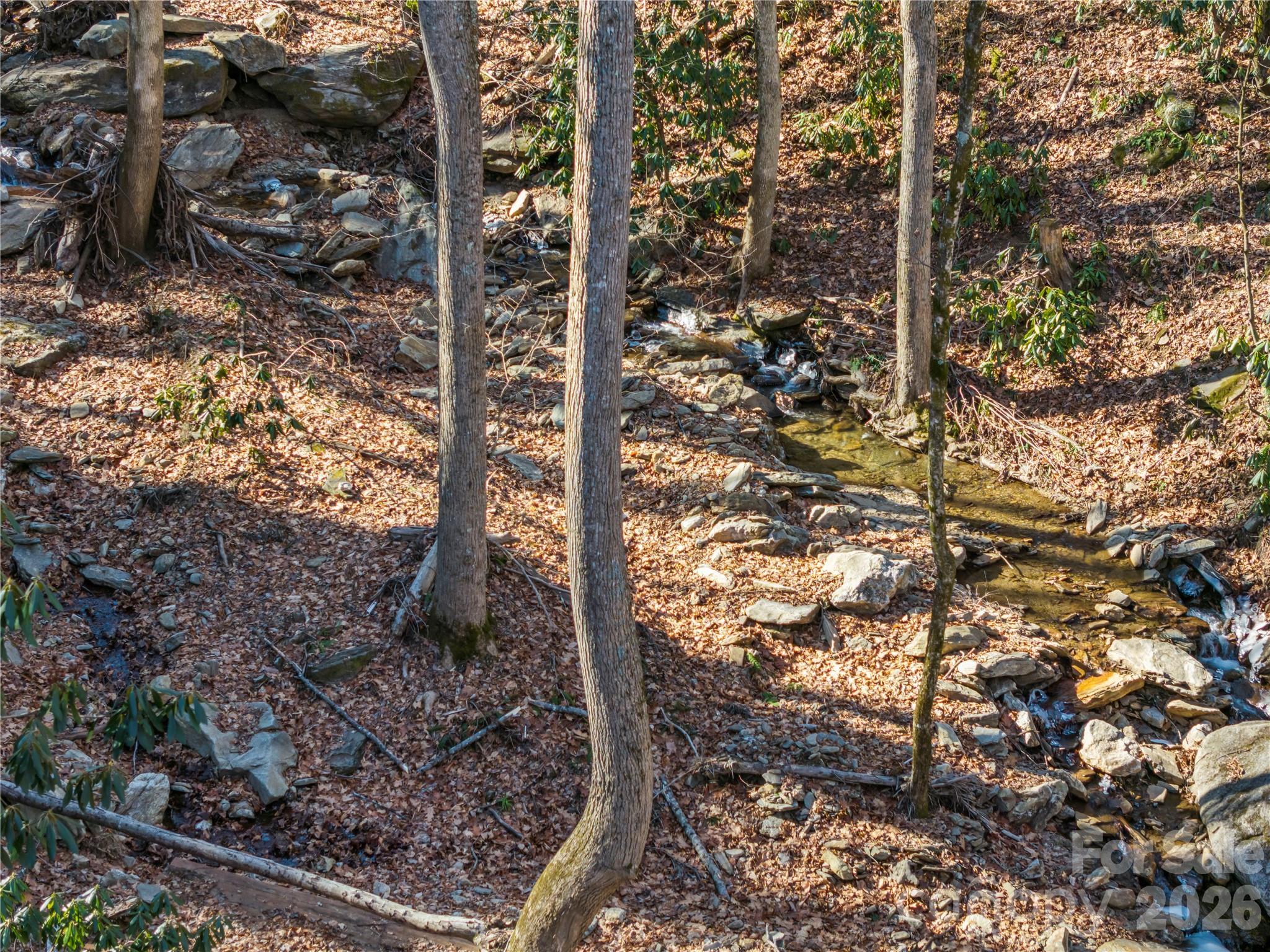 52 Treanors Place — Maggie Valley