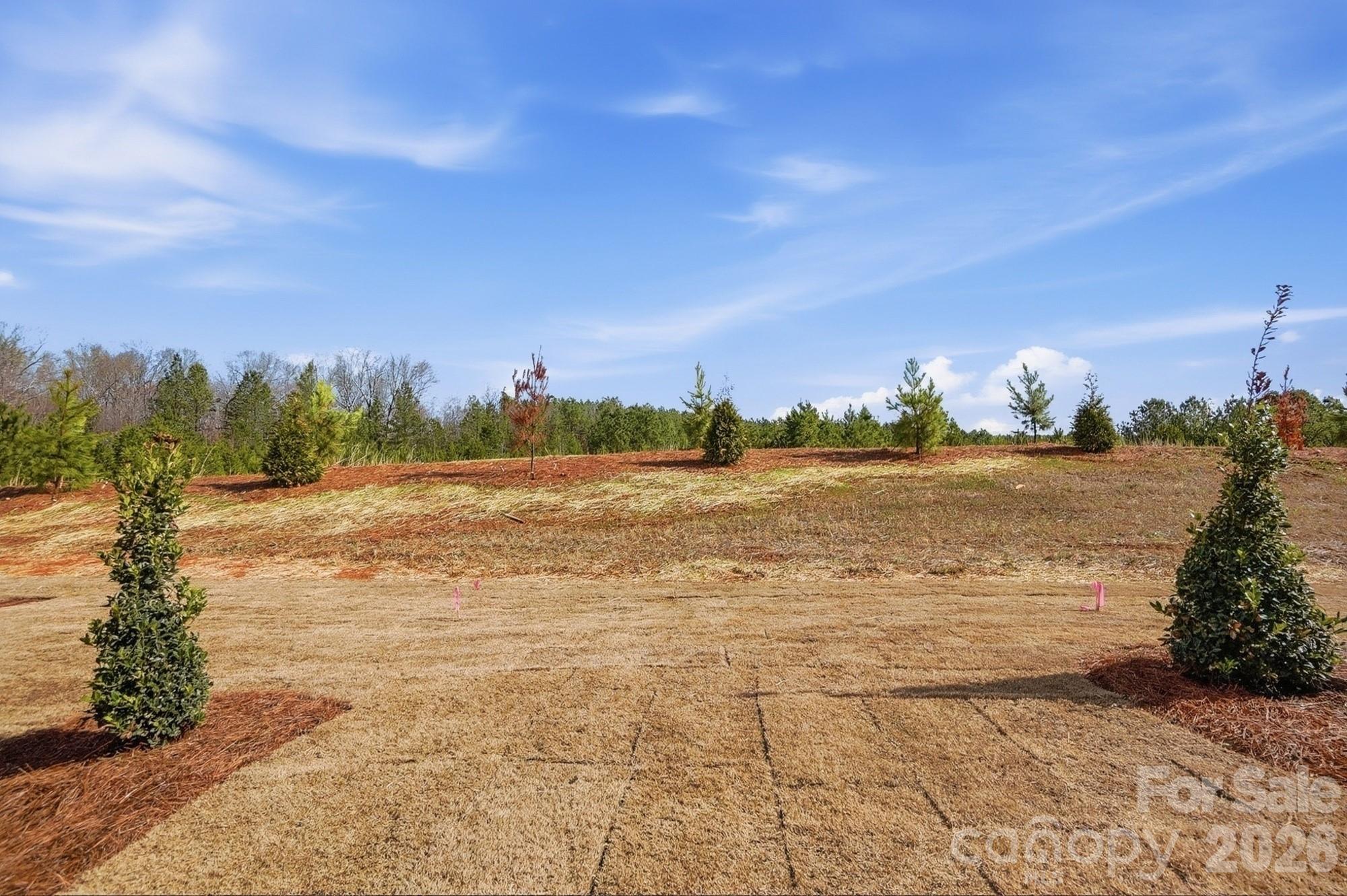434 Blythe Townhome Lane — Waxhaw