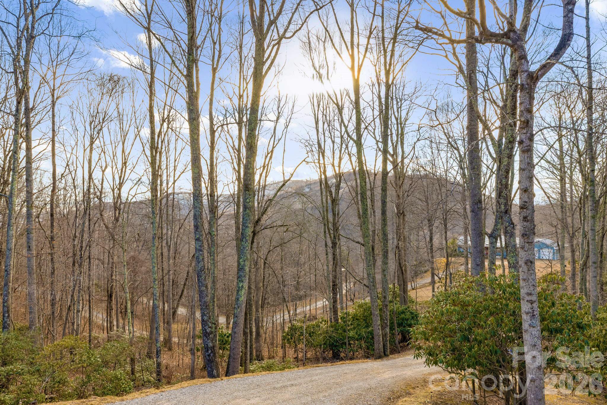 170 Wonderwood Lane — Clyde