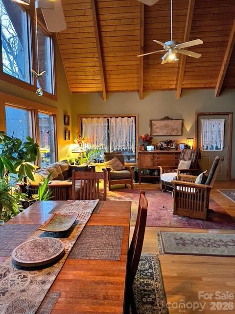 170 Wonderwood Lane — Clyde