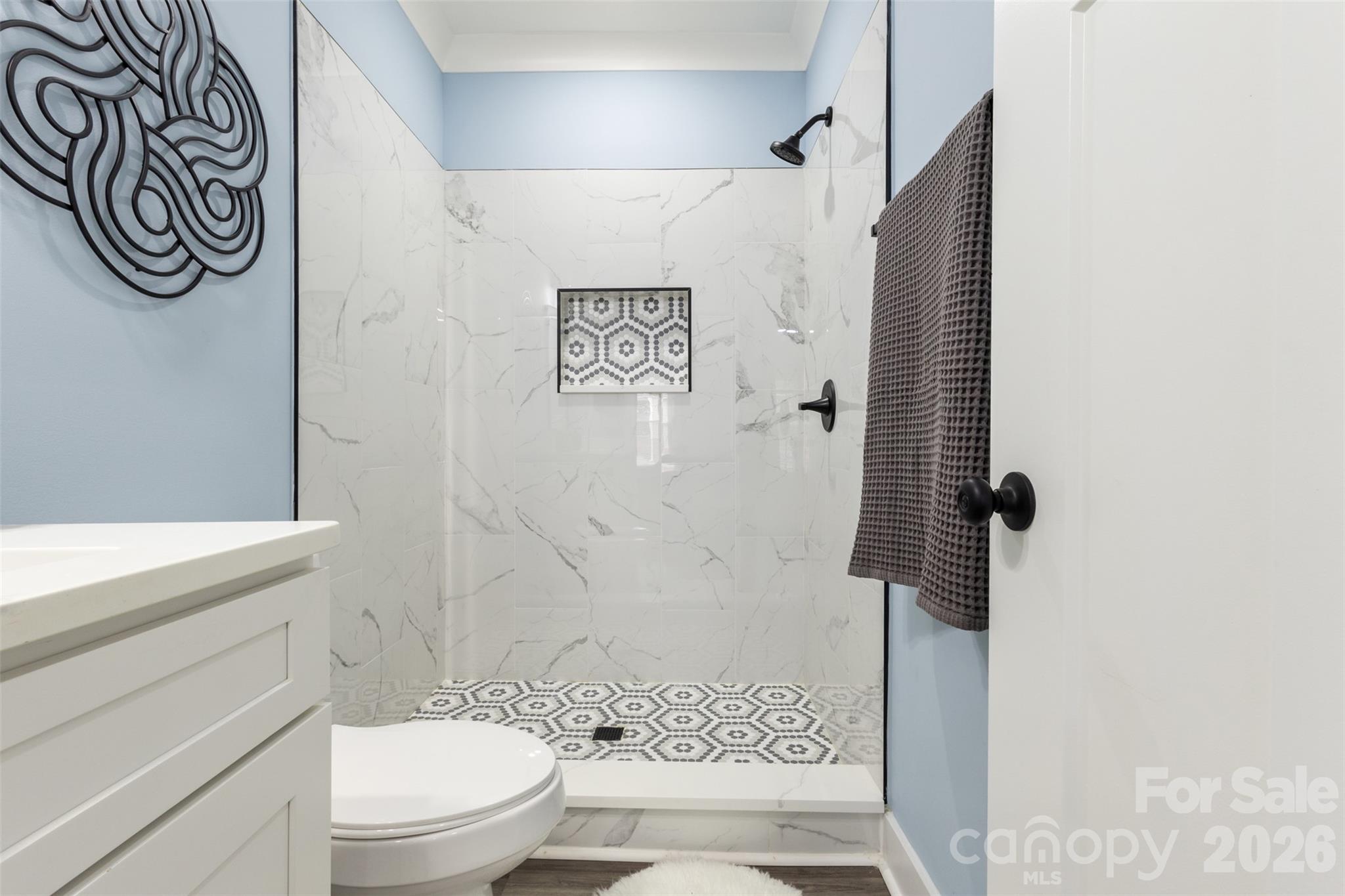 305 E Henry Street — Belmont