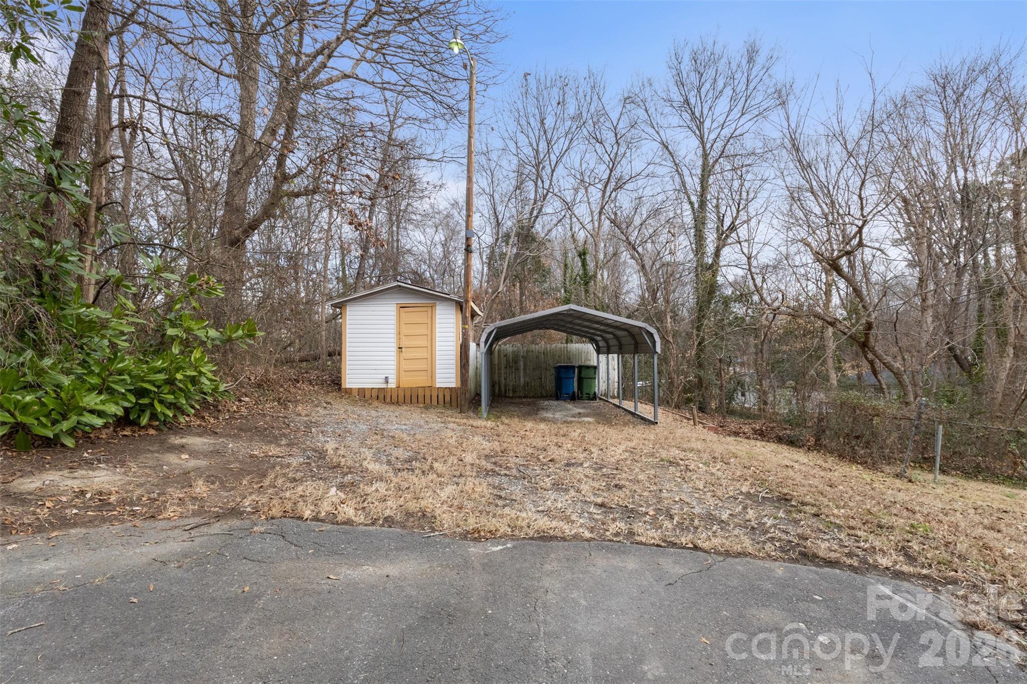 305 E Henry Street — Belmont