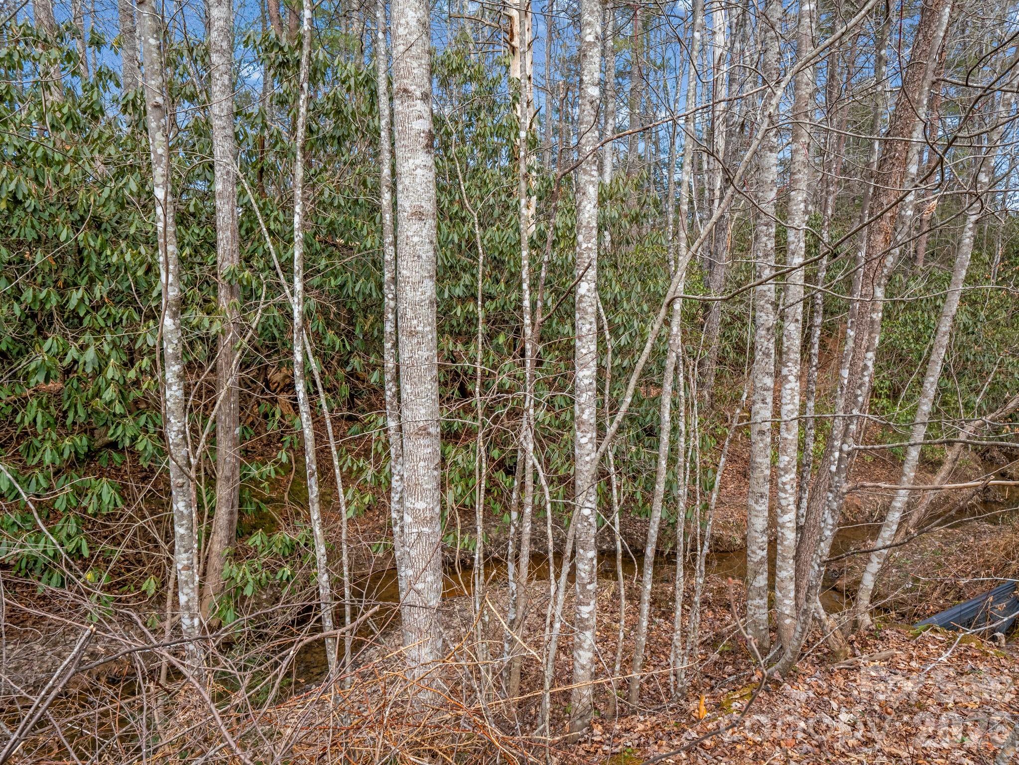 220 Jonathan Creek Drive — Etowah