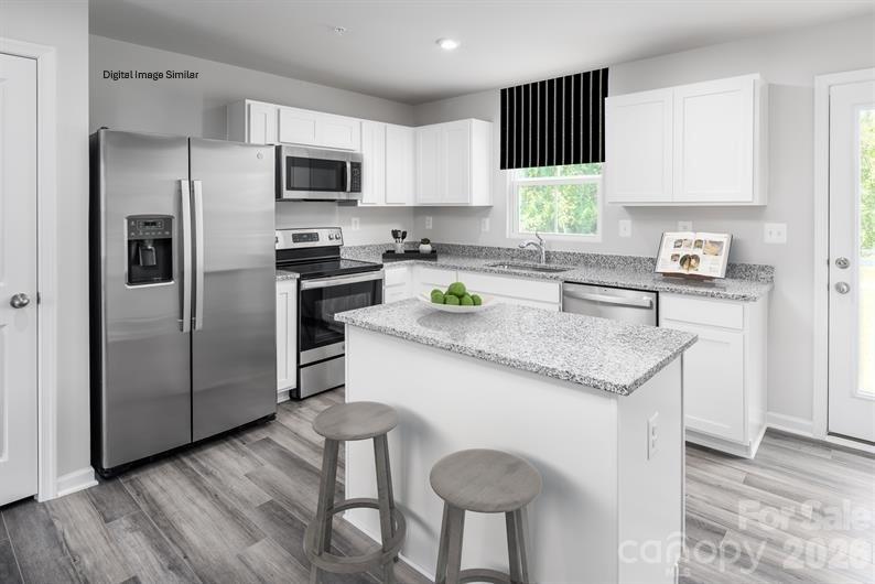 405 Laney Farms Drive — Pageland