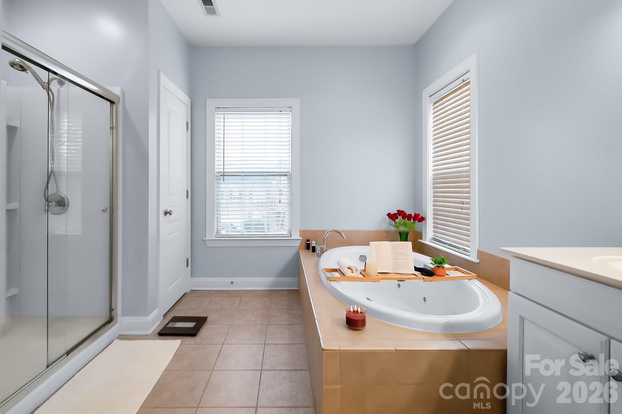 2224 Iron Works Drive — Lake Wylie