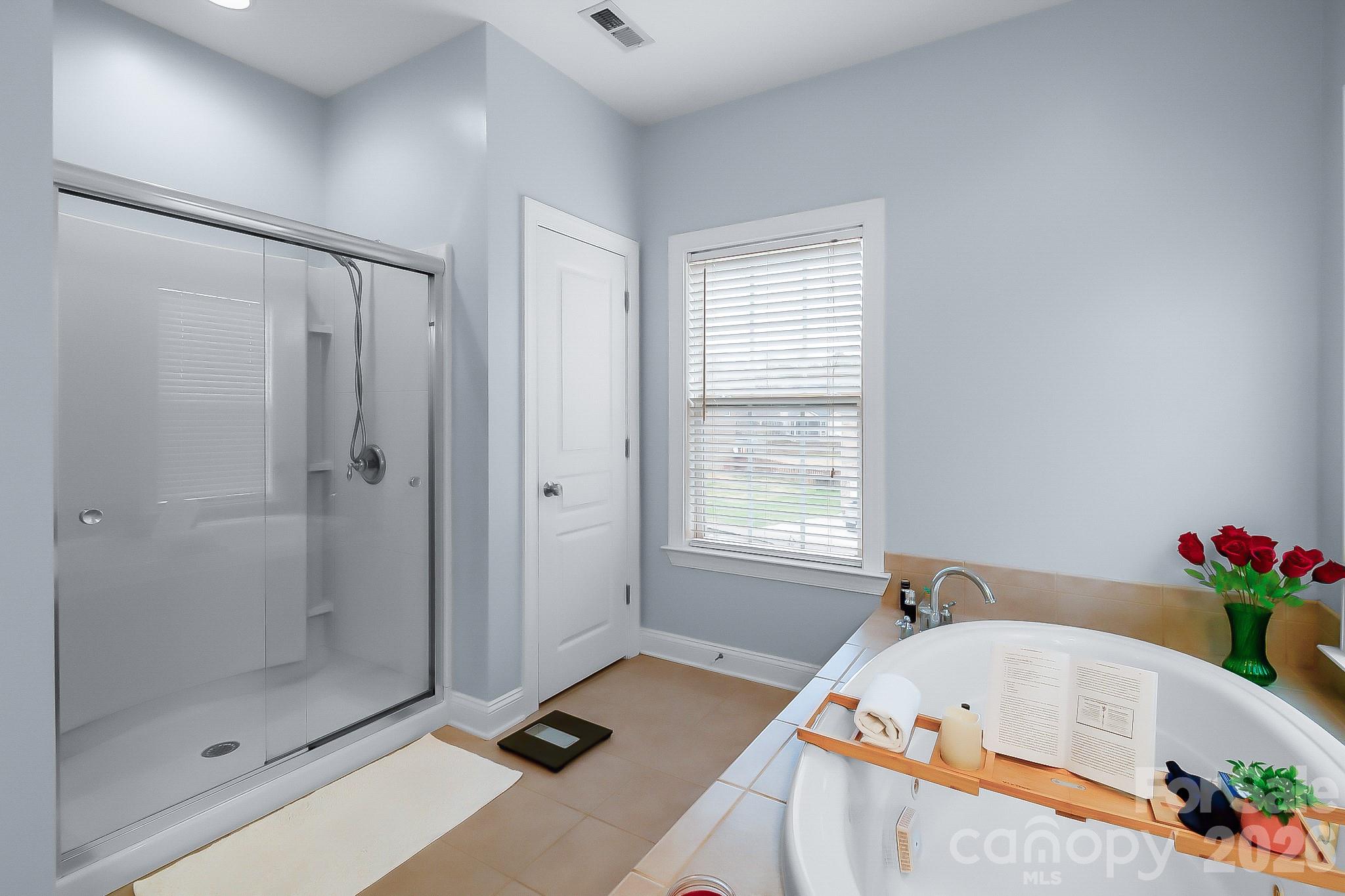 2224 Iron Works Drive — Lake Wylie