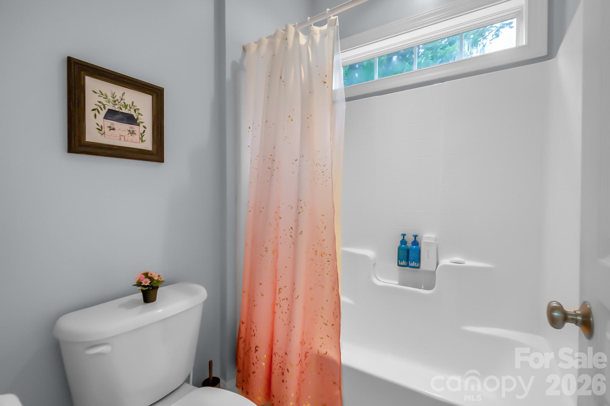 2224 Iron Works Drive — Lake Wylie
