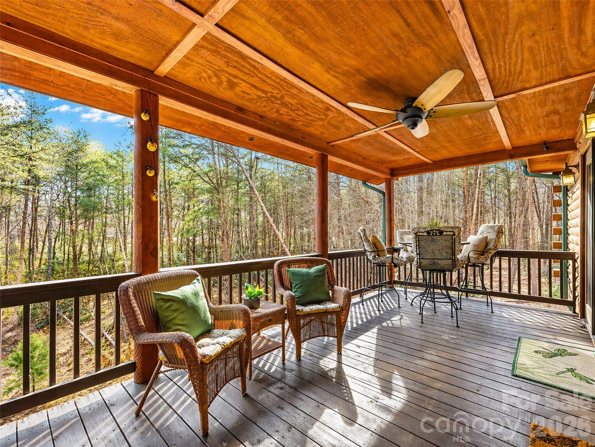 134 McDaniel Court — Lake Lure