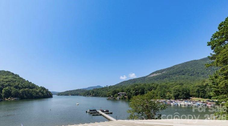 134 McDaniel Court — Lake Lure