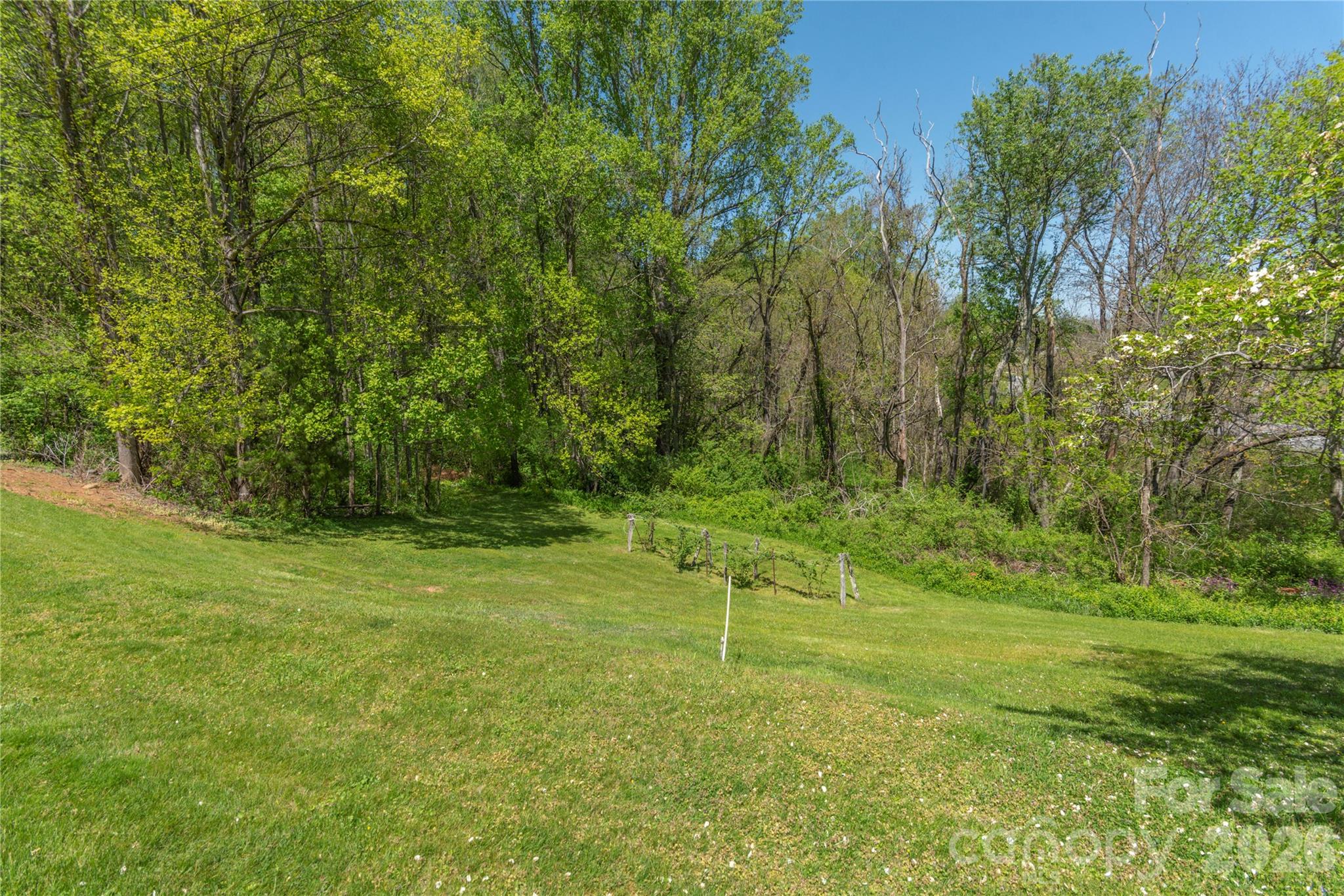 96 Tower Lane — Waynesville