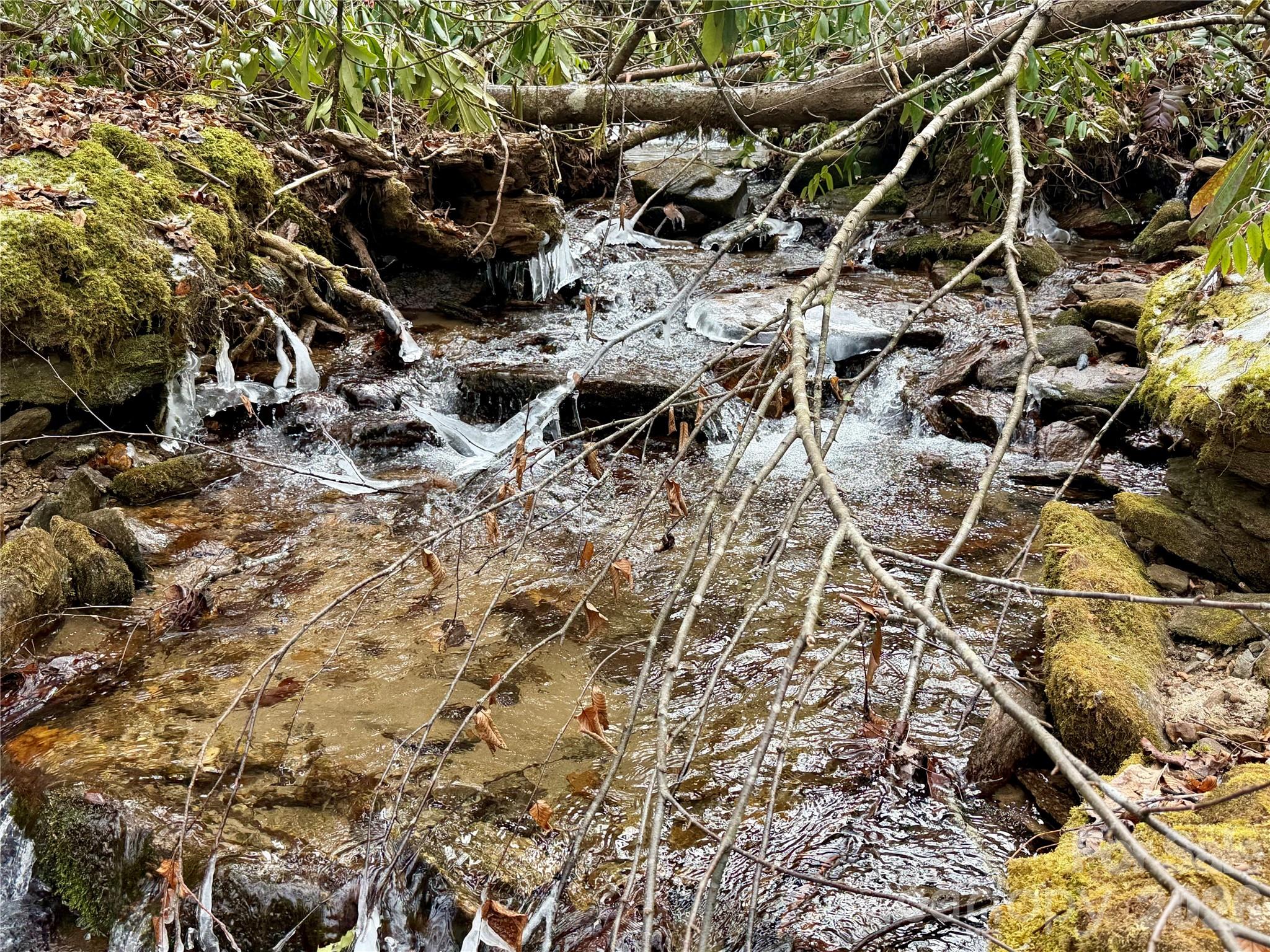 581 Hubbard Hollow Road — Rosman
