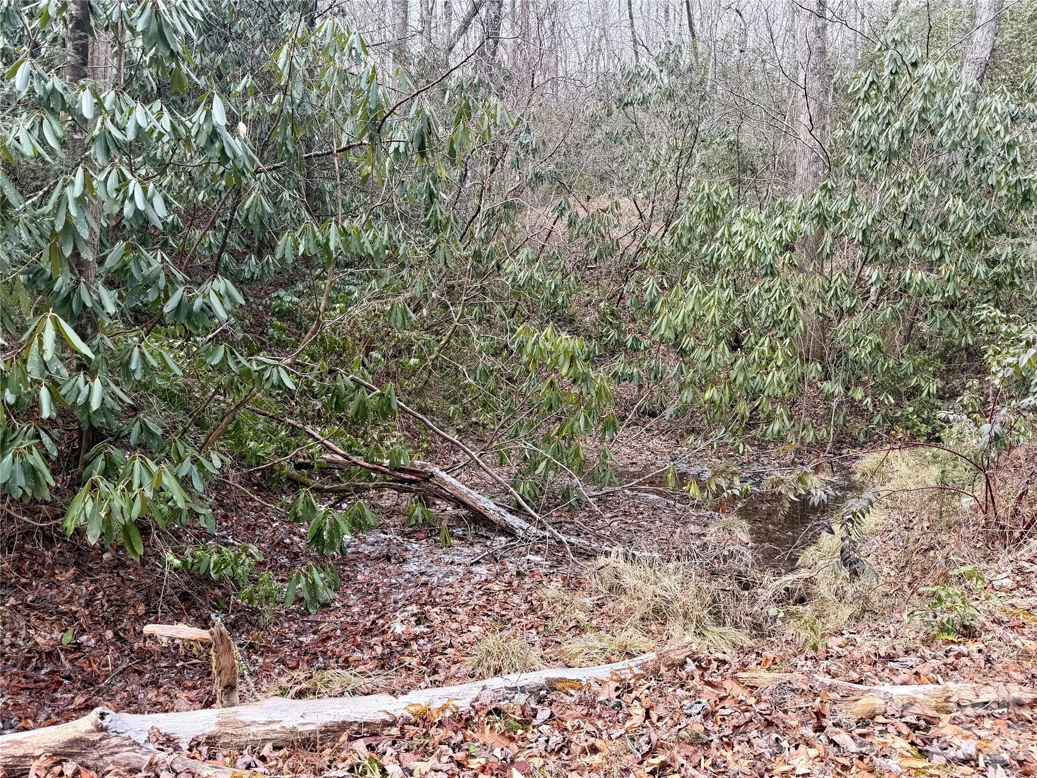 581 Hubbard Hollow Road — Rosman