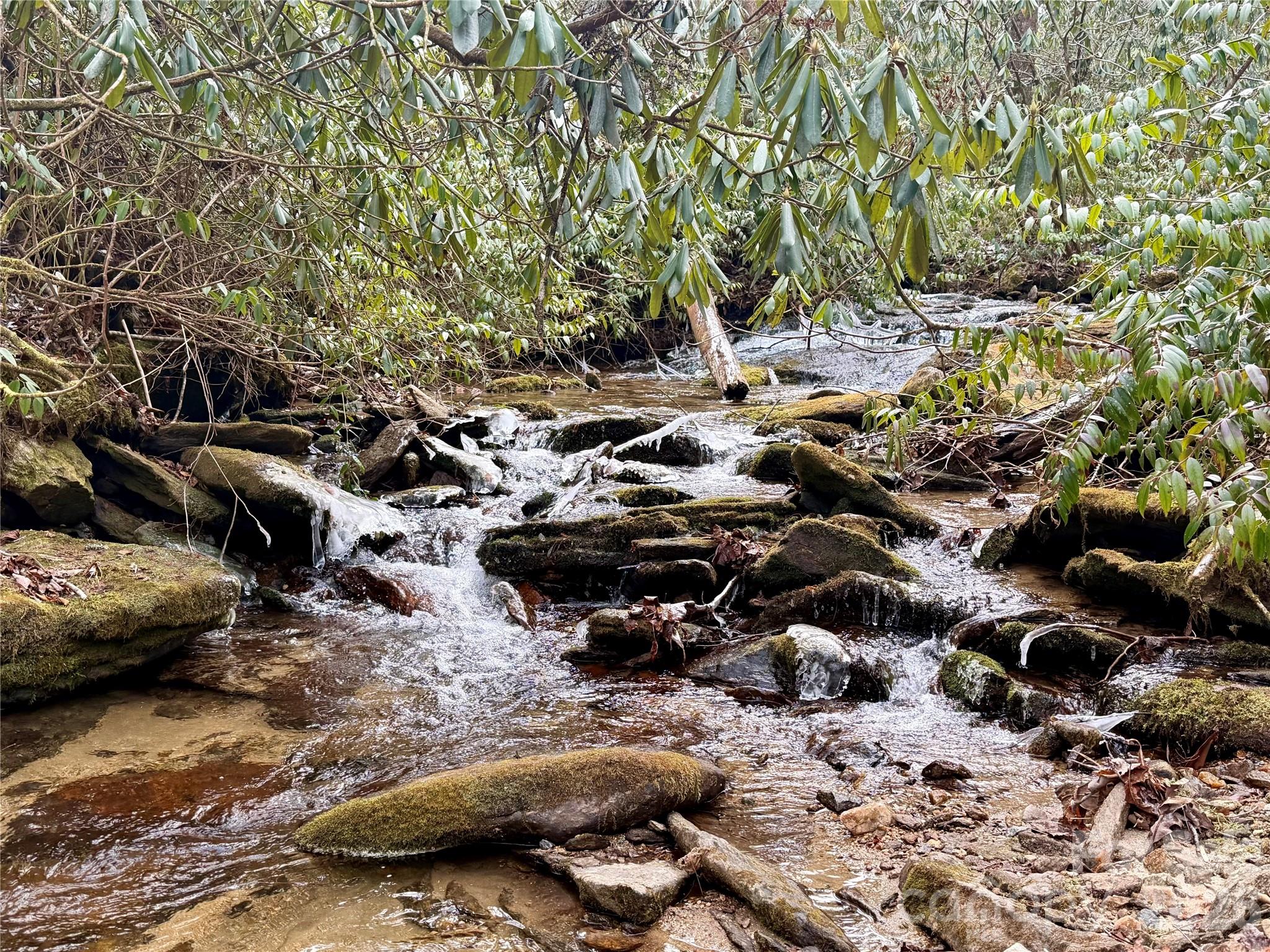 581 Hubbard Hollow Road — Rosman