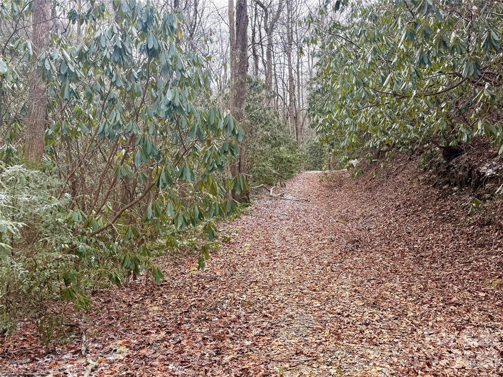 581 Hubbard Hollow Road — Rosman