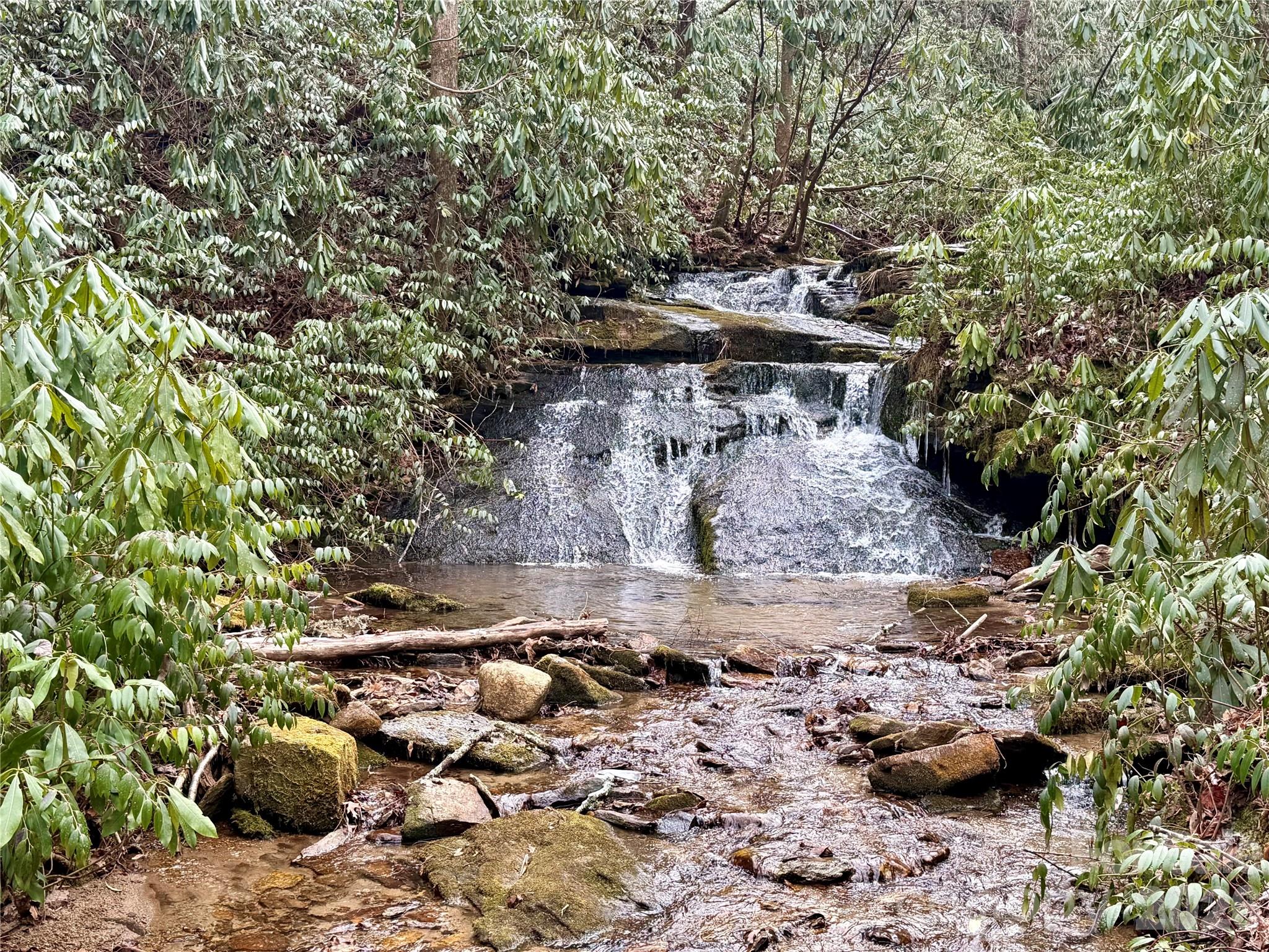581 Hubbard Hollow Road — Rosman