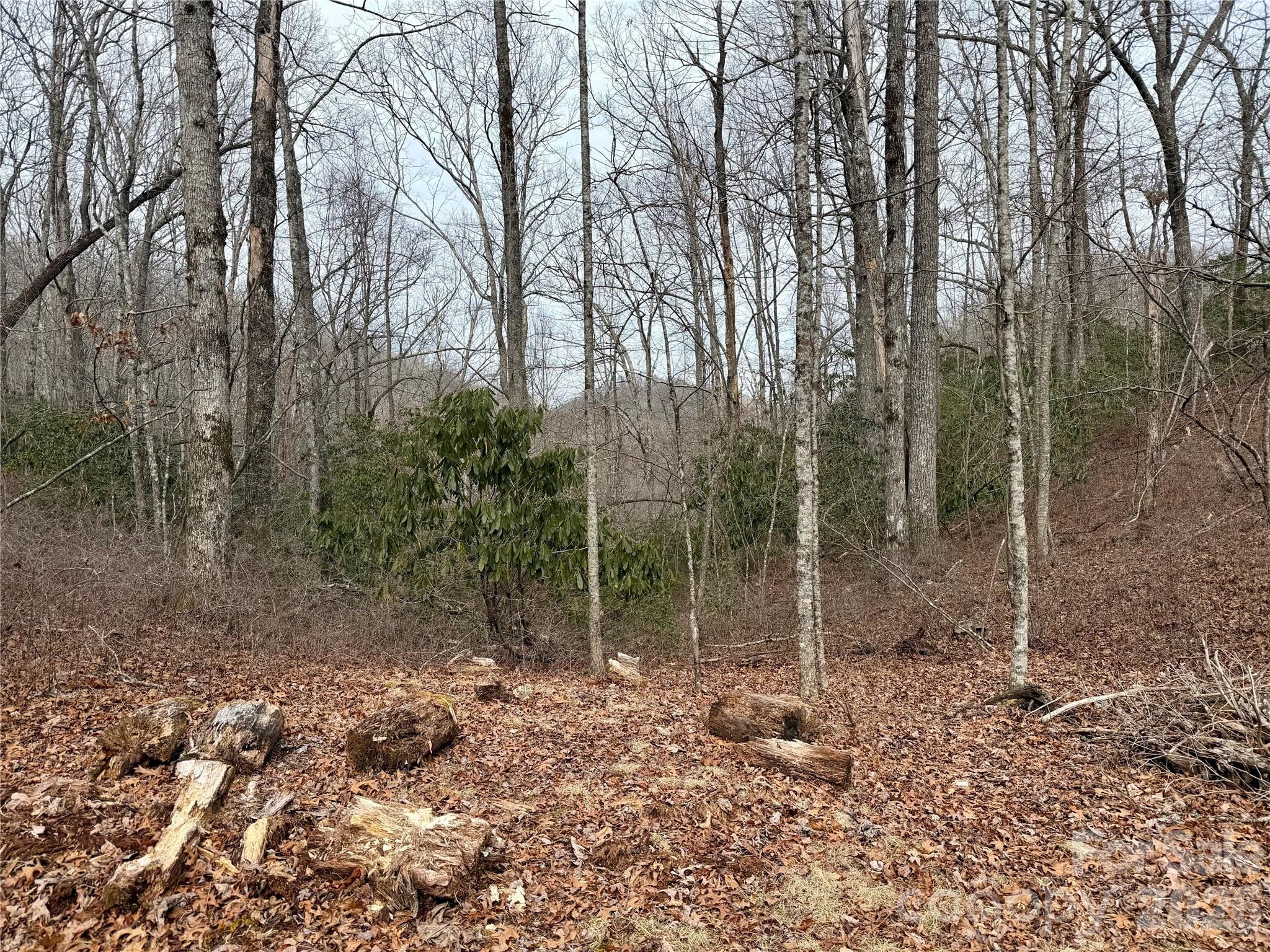 581 Hubbard Hollow Road — Rosman