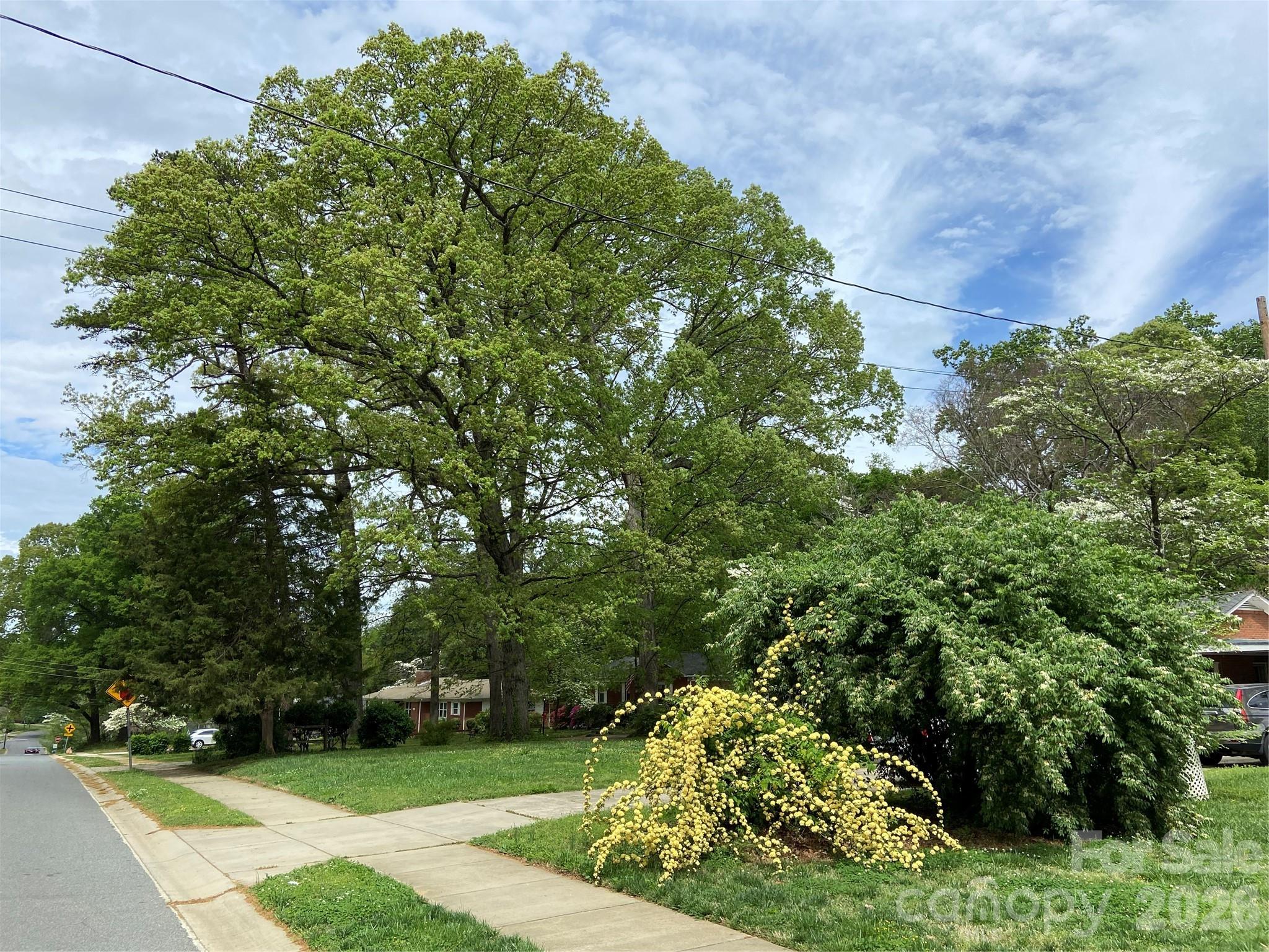 3218 Driftwood Drive — Charlotte