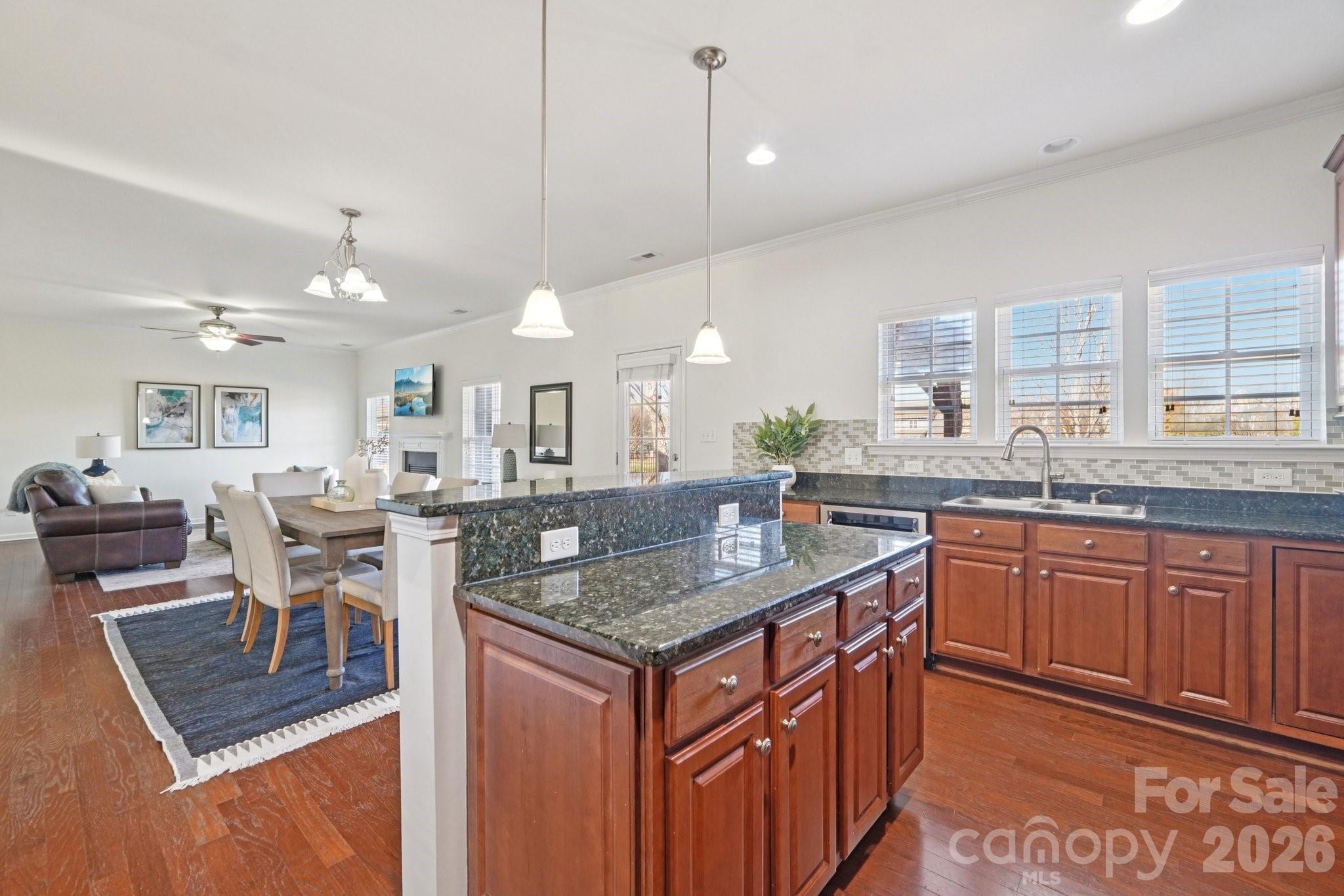 17319 Silas Place Drive — Davidson